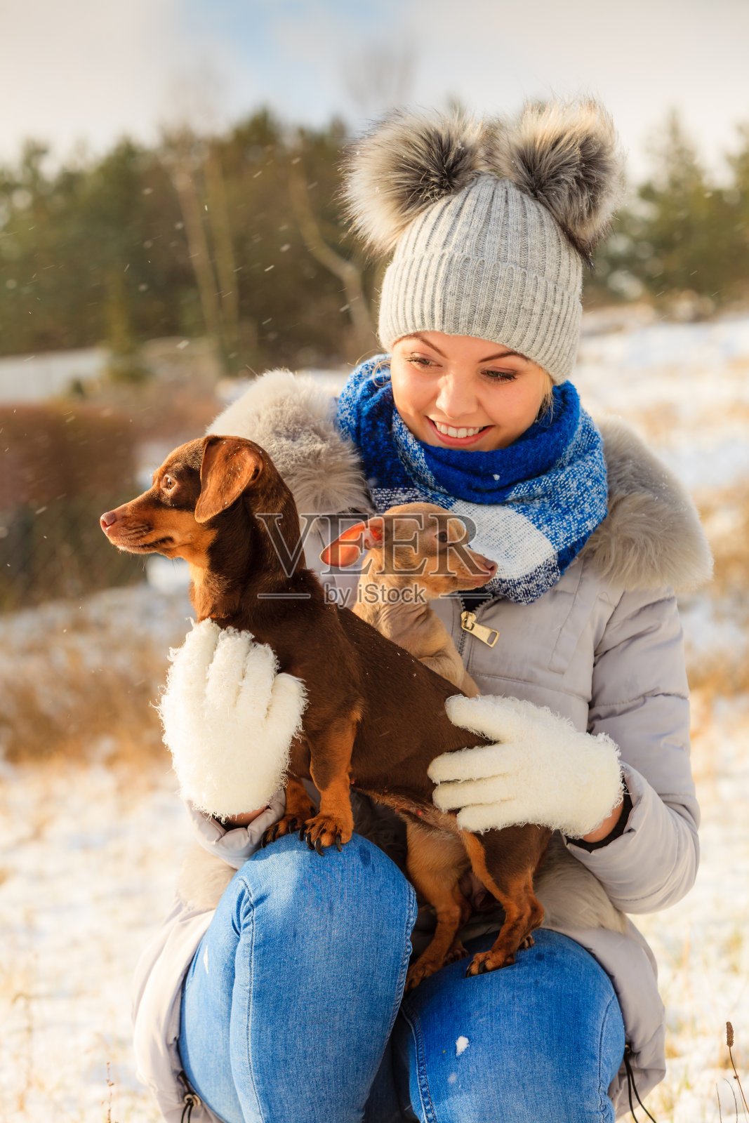 女人在冬天和狗玩照片摄影图片