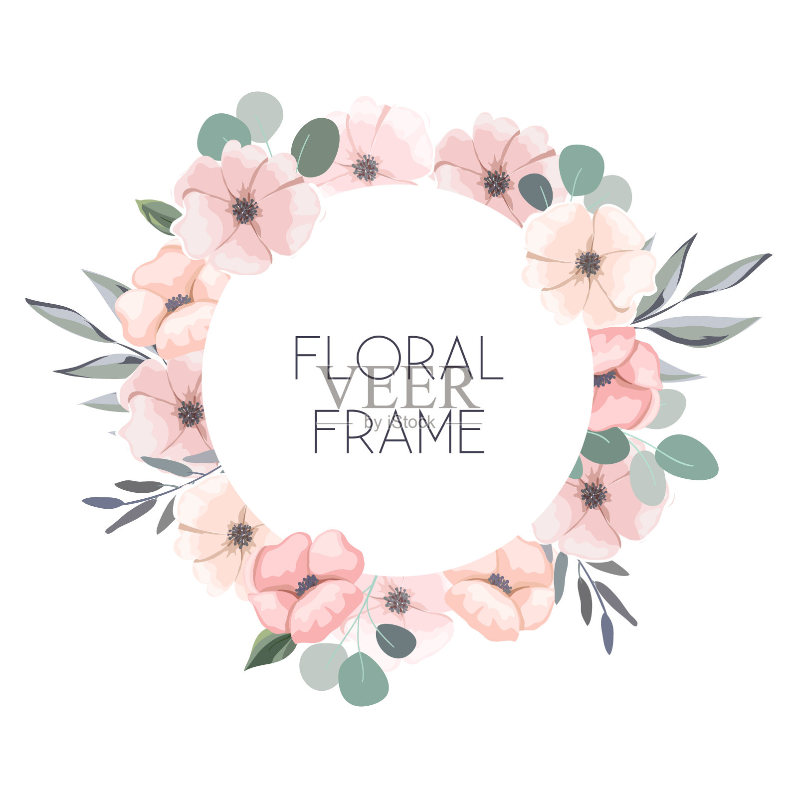 花环与美丽的银莲花孤立在白色。花卉设计元素，贺卡，婚礼邀请。带花的文本框架。向量。设计元素图片