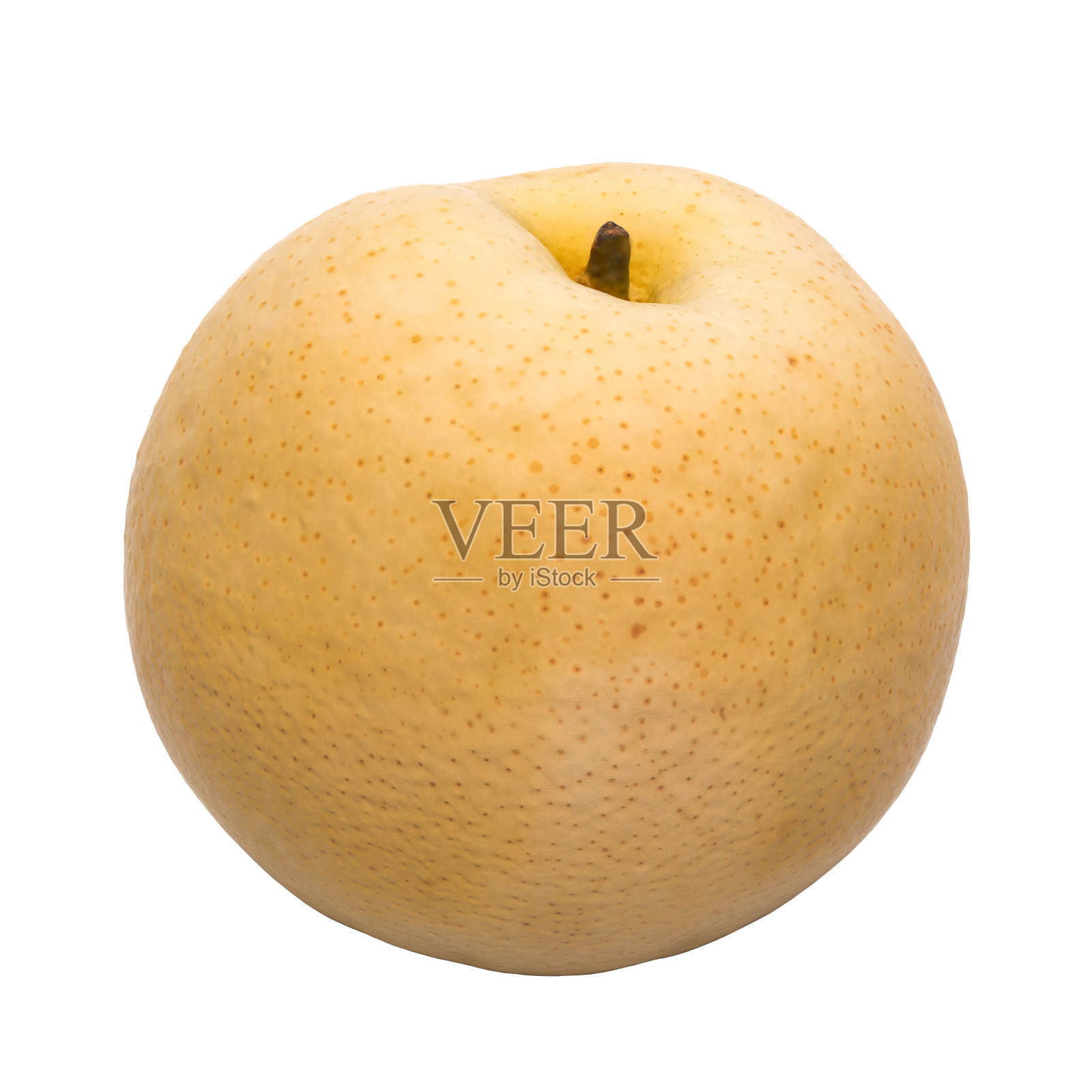 中国梨纳什特写3d渲染与现实的纹理隔离在白色的背景照片摄影图片