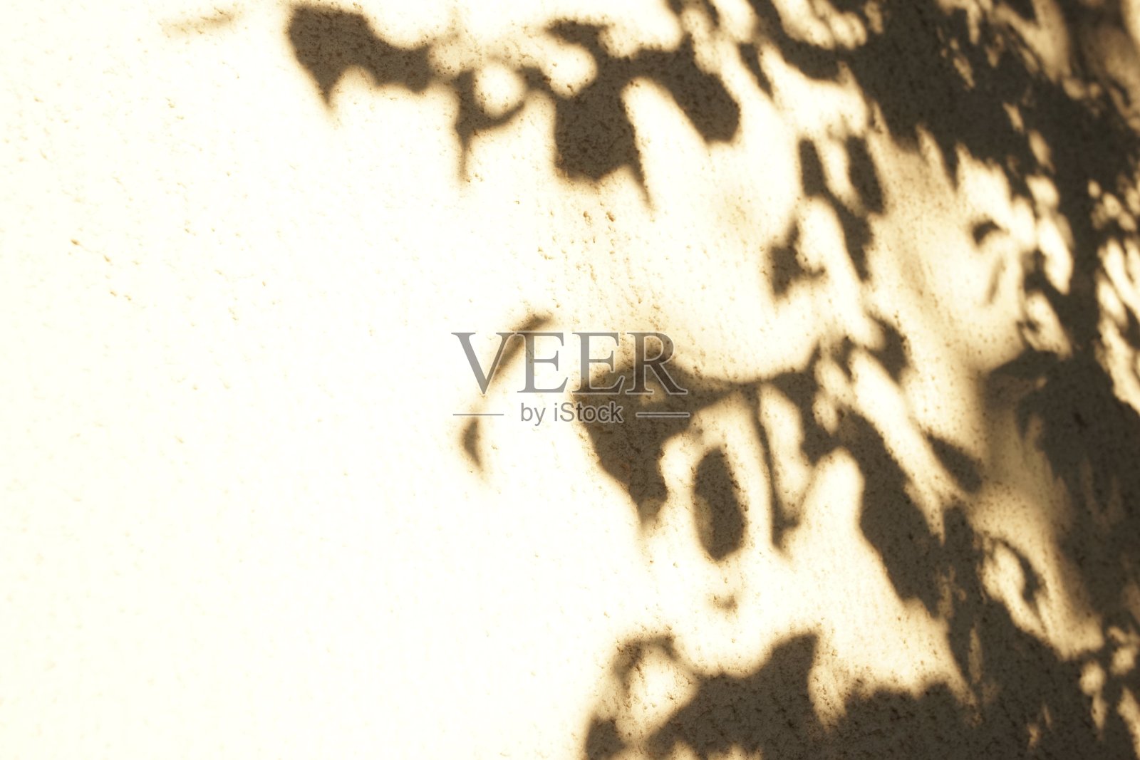 抽象的阴影背景的自然树叶树枝落在纹理棕色墙壁作为背景和壁纸。照片摄影图片