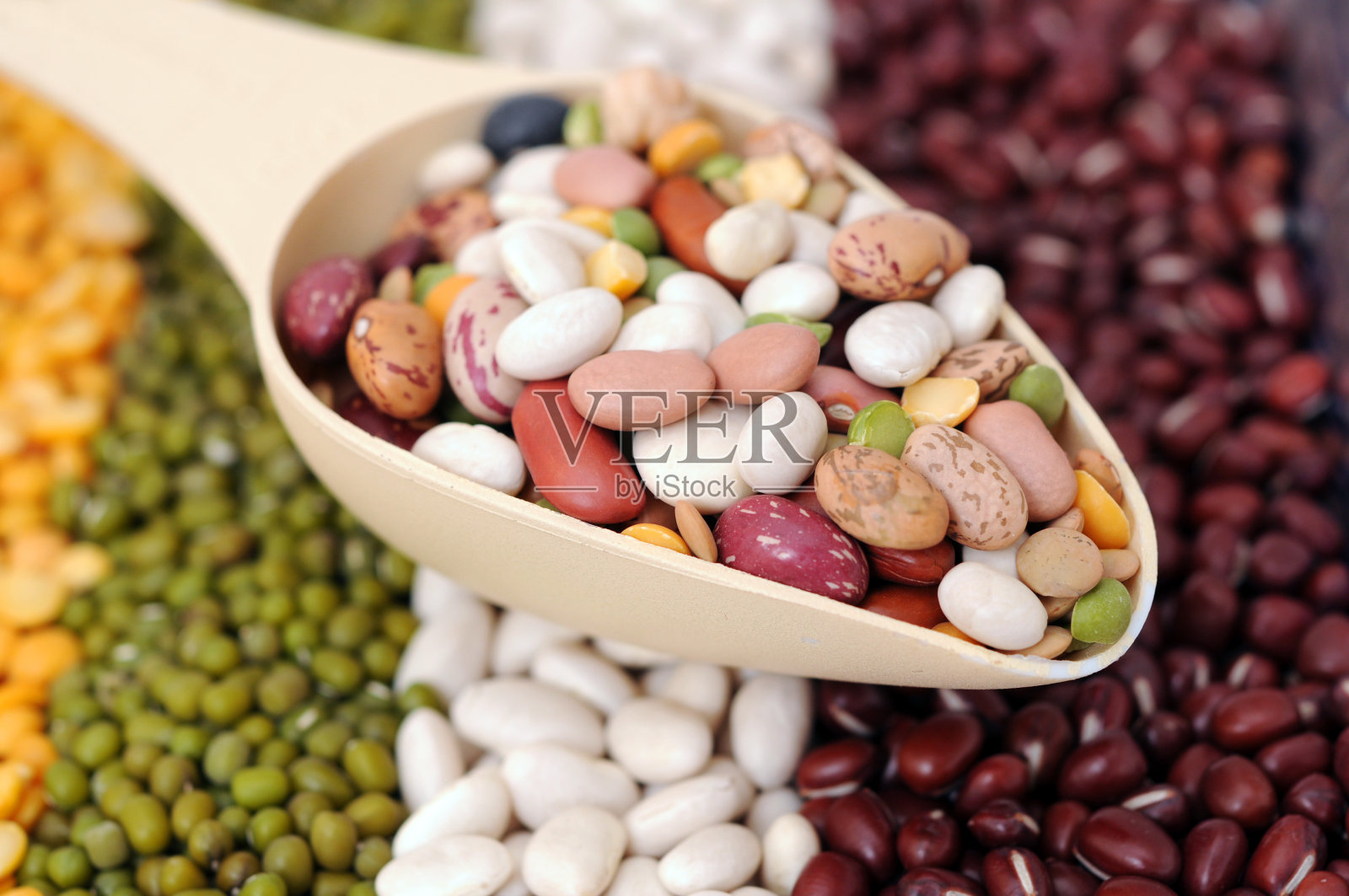 豆照片摄影图片