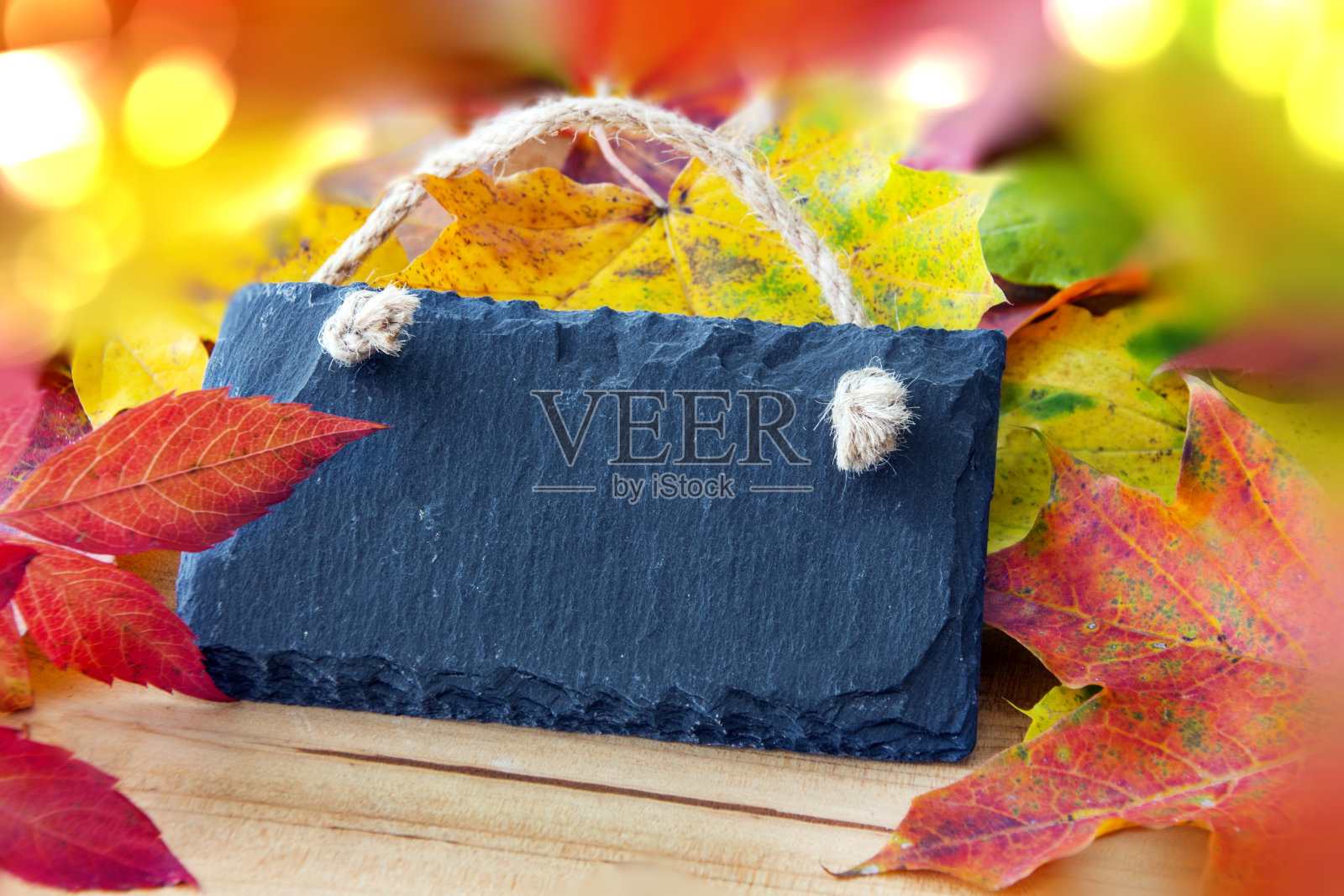 秋季装饰用树叶和标签照片摄影图片