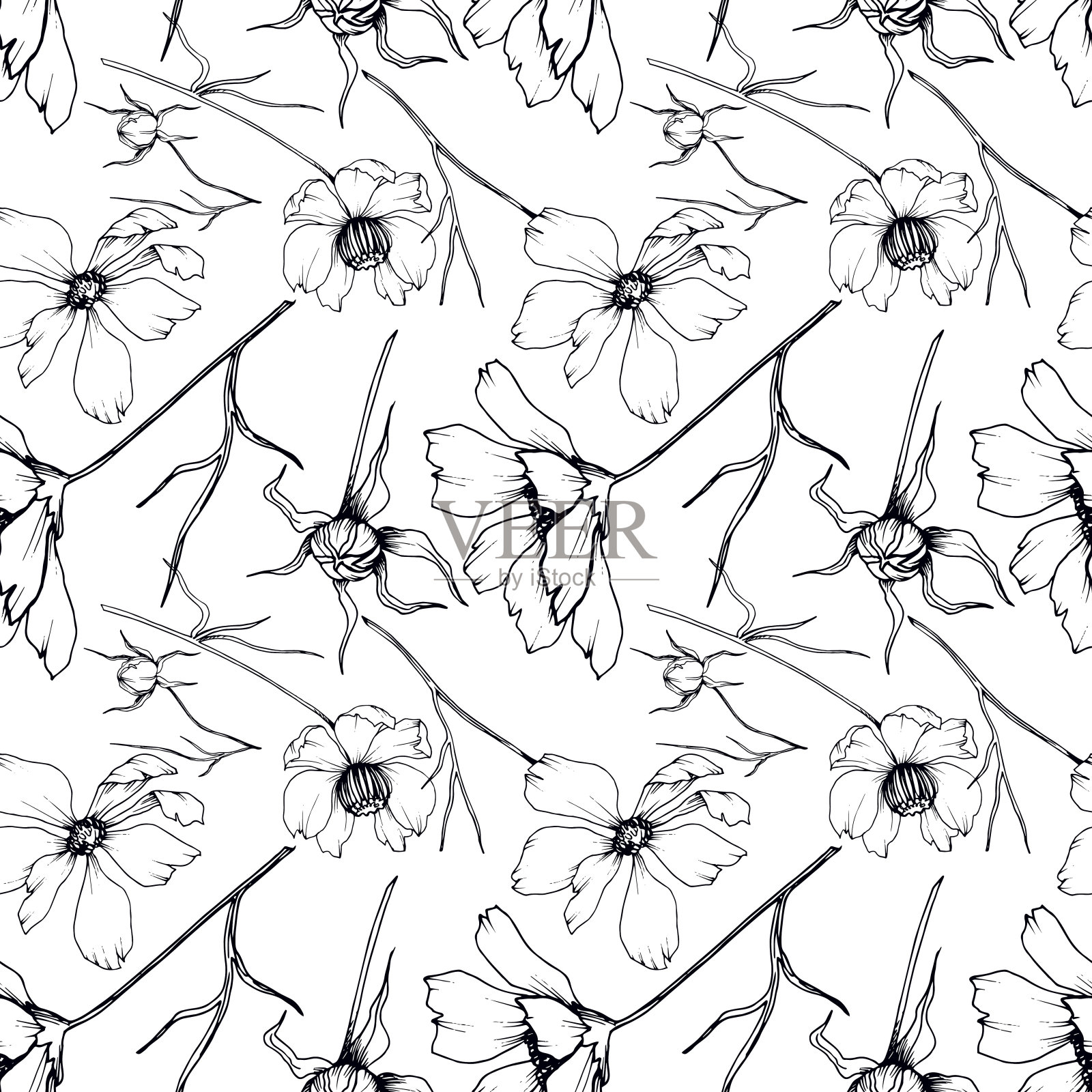 向量宇宙花卉植物花。黑白篆刻水墨艺术。无缝的背景图案。插画图片素材