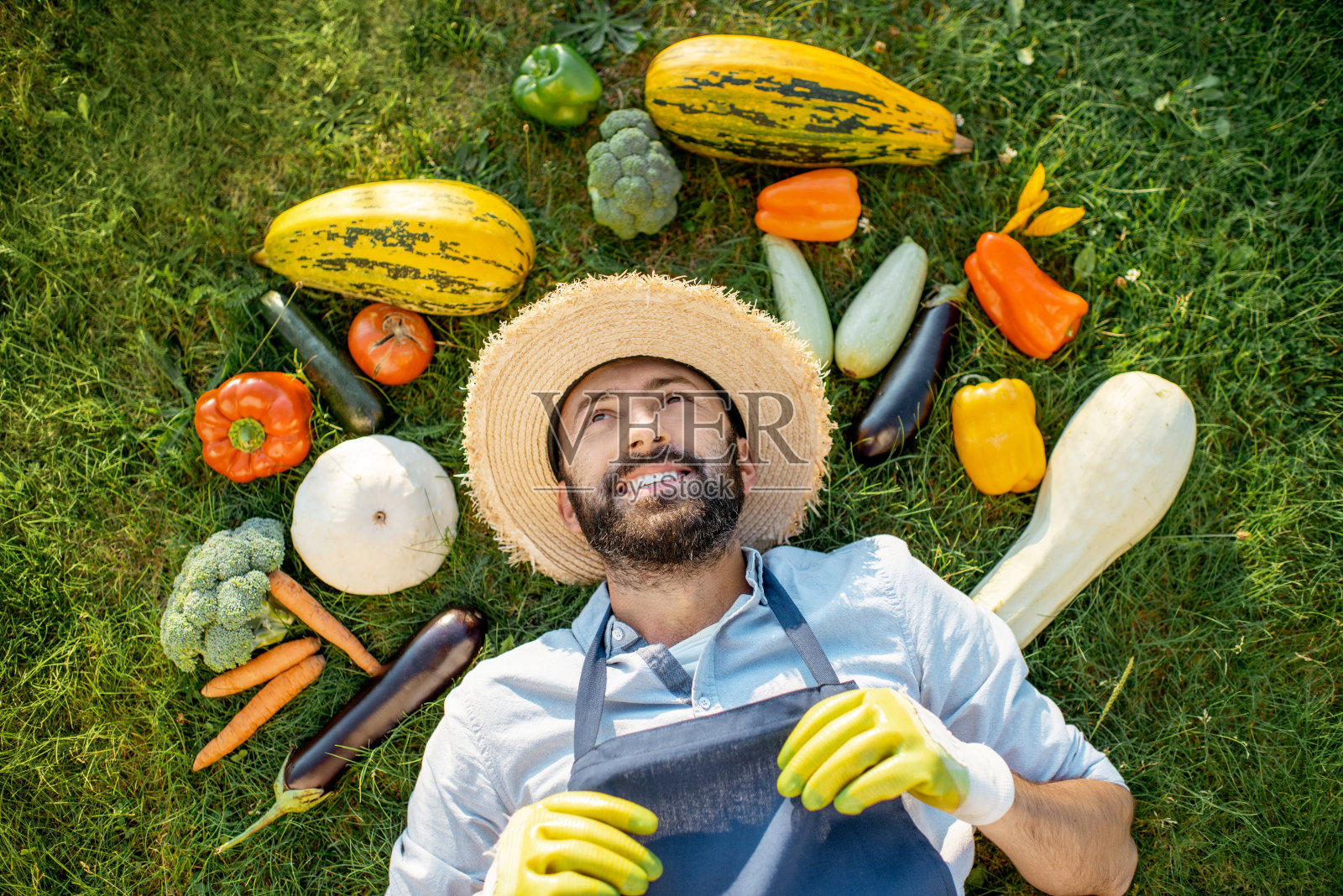在草地上吃新鲜蔬菜的人照片摄影图片