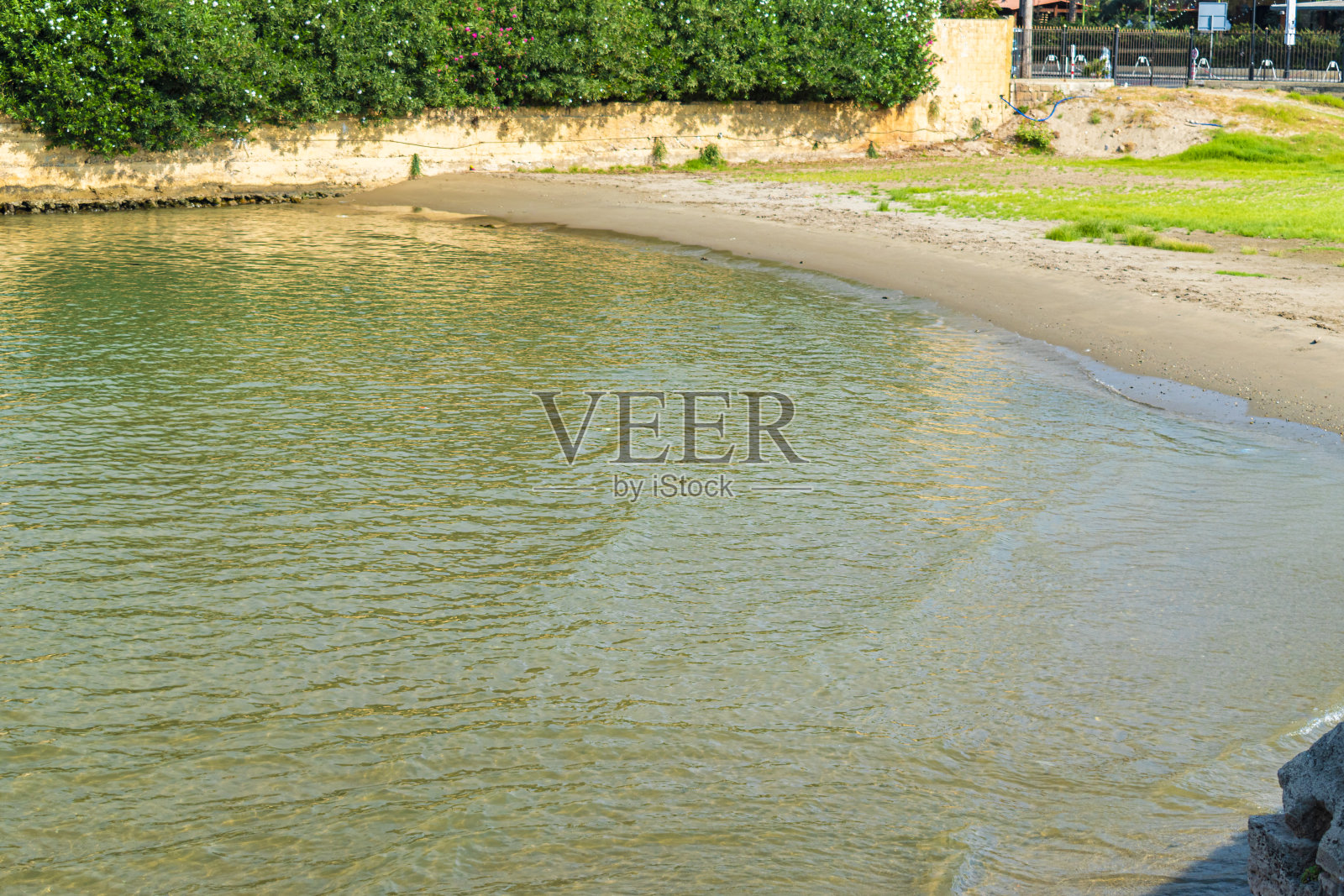 海岸的西顿照片摄影图片