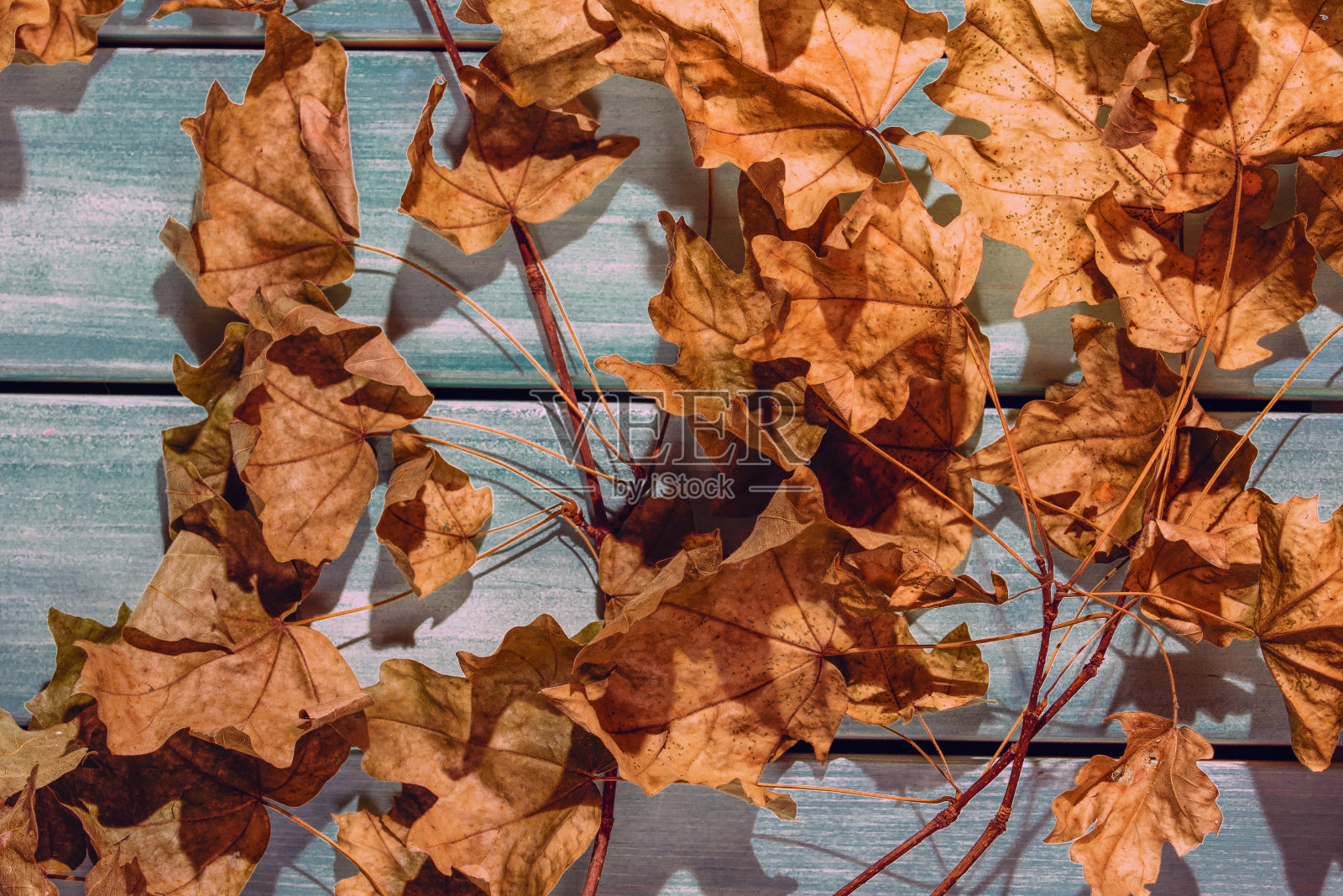 干燥的秋叶木制背景，俯视图图像照片摄影图片