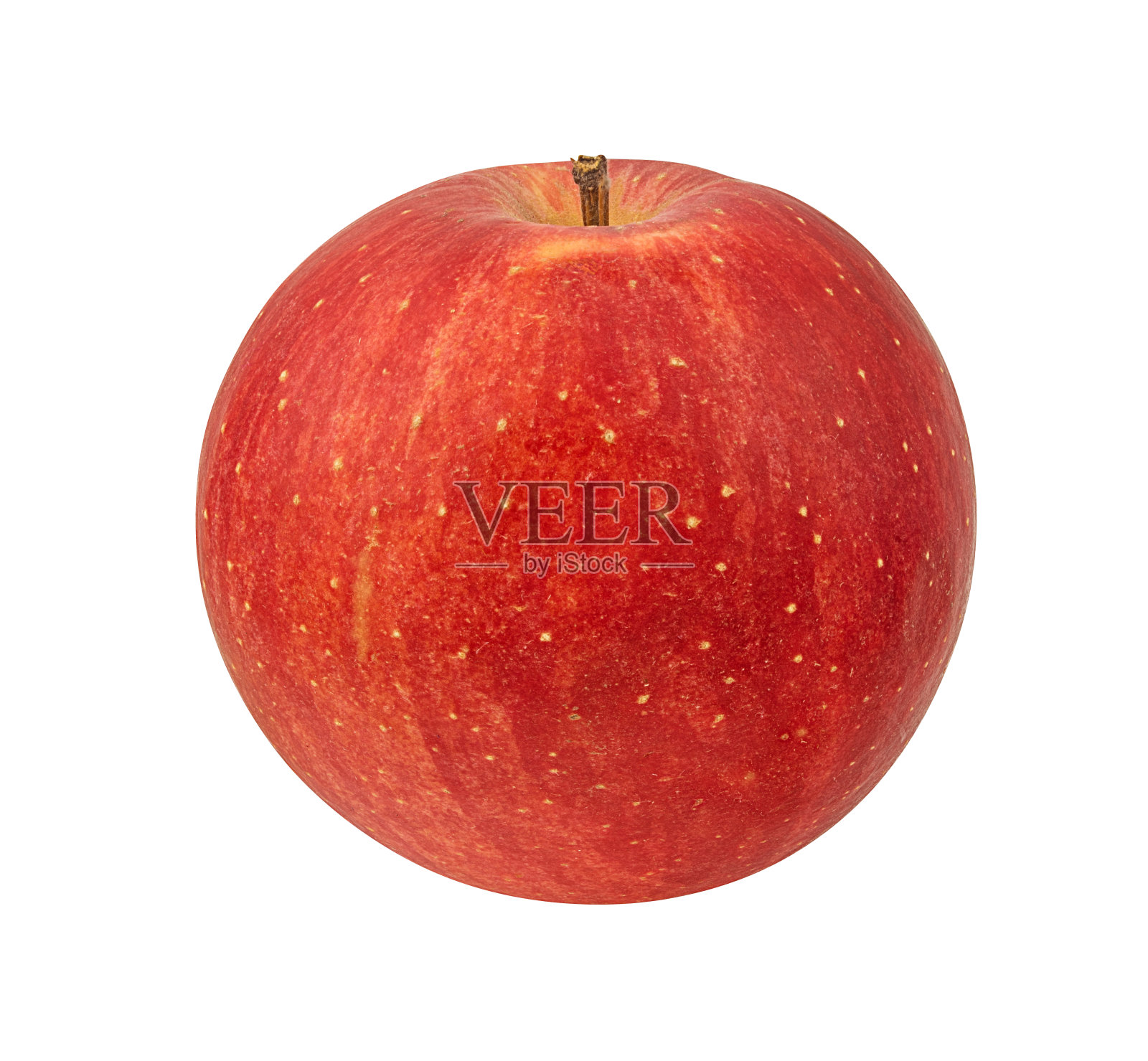 白色的苹果照片摄影图片