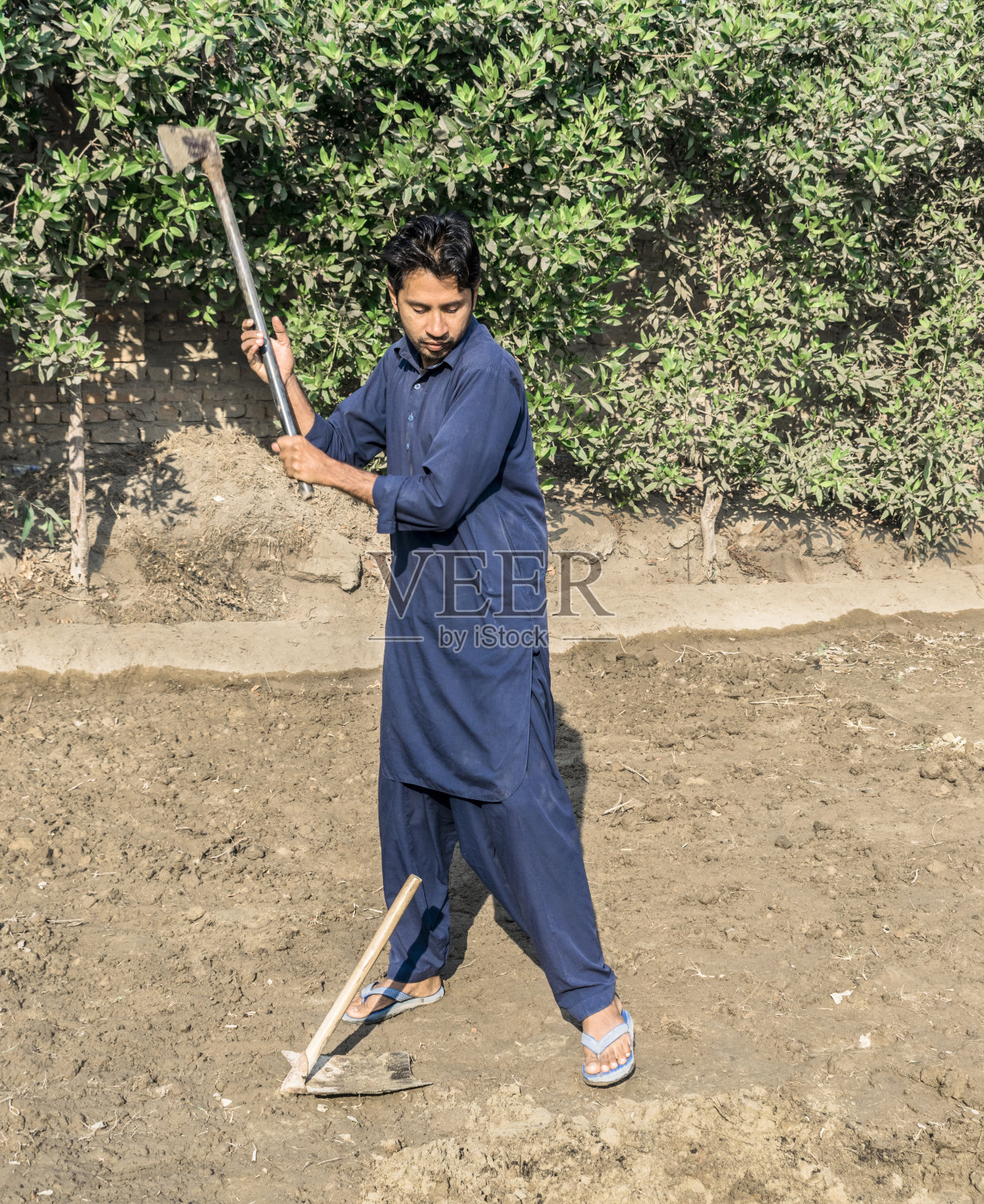 一位亚洲男子正在把一棵树种在地里照片摄影图片
