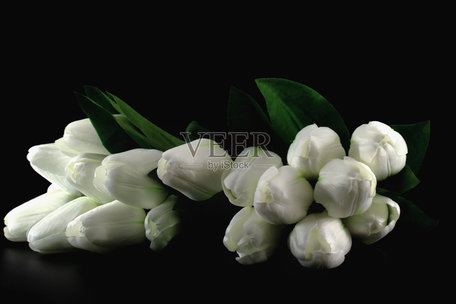 装饰白色郁金香孤立在黑色背景。照片摄影图片