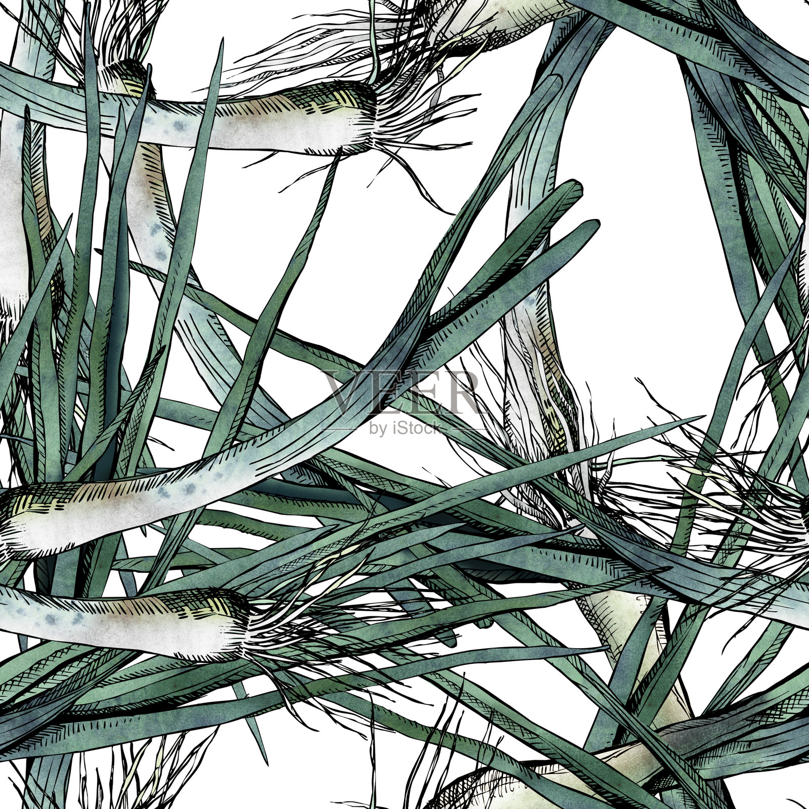 韭菜无缝模式。插画图片素材