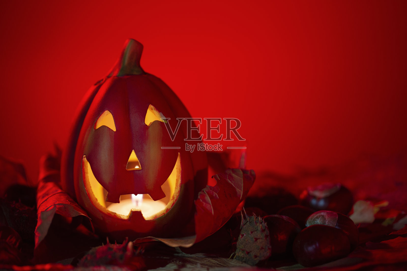 万圣节照片摄影图片