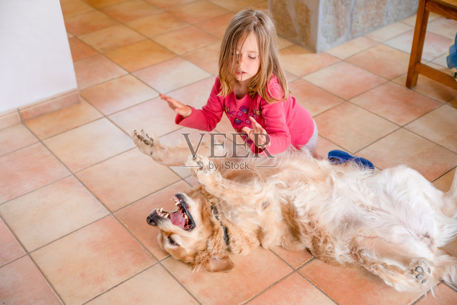 有趣的小女孩和狗碰手玩照片摄影图片