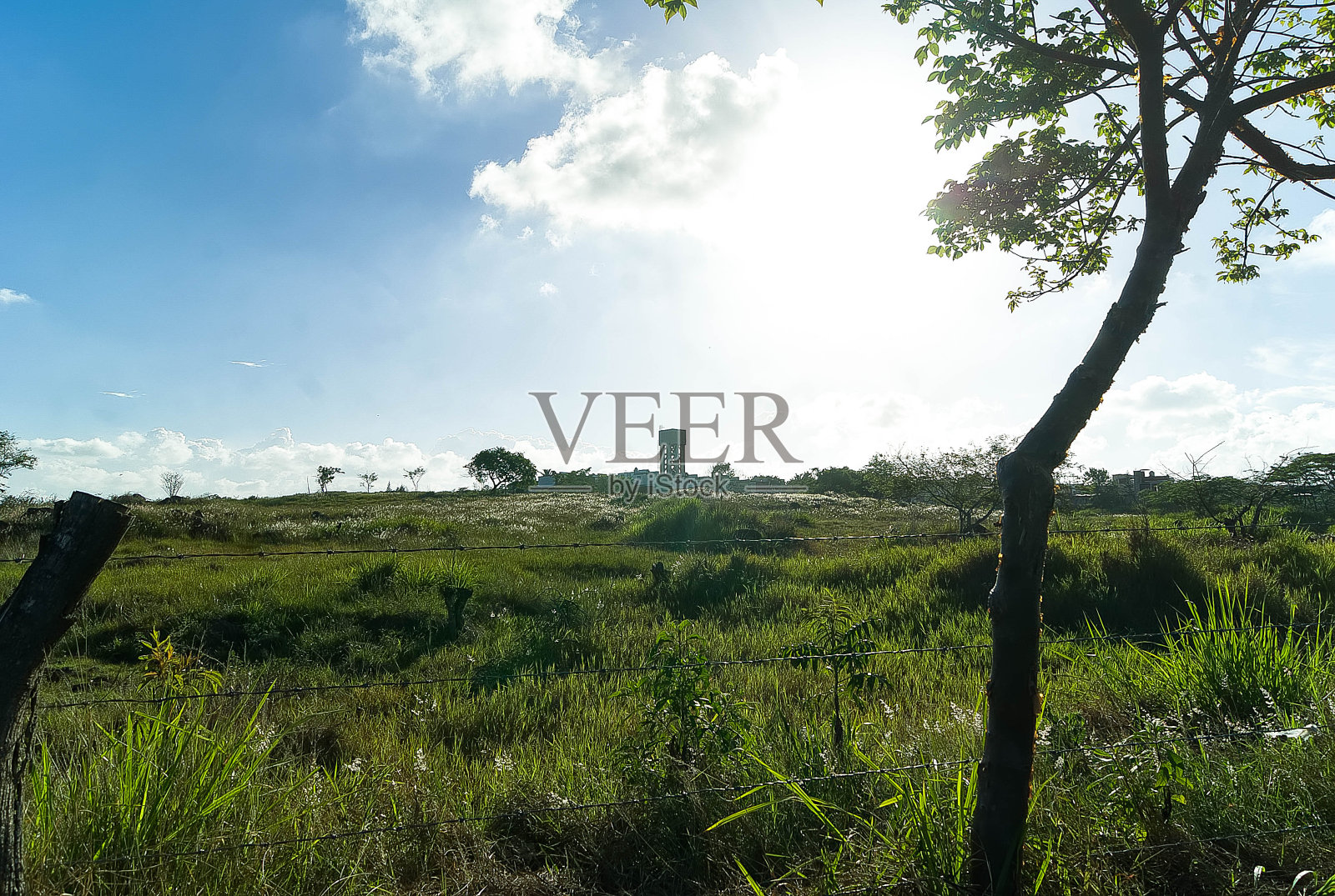 水泥水塔，在草甸和绿色植被照片摄影图片