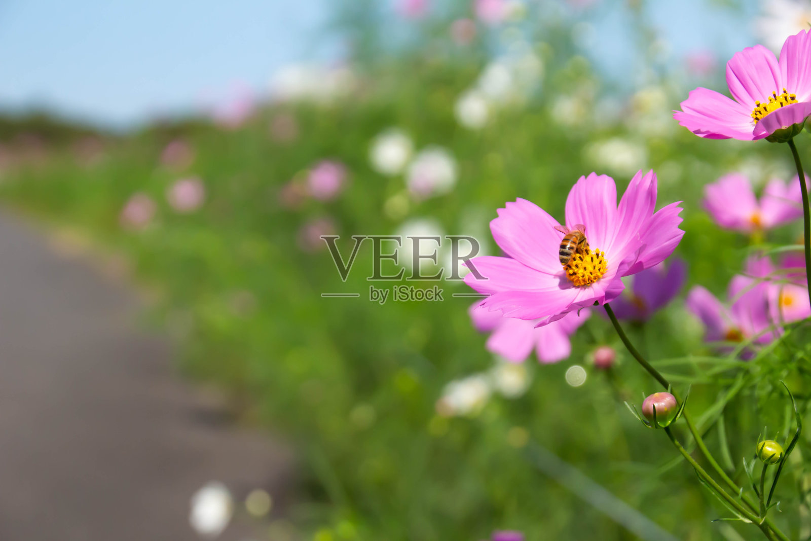 宇宙的大道照片摄影图片