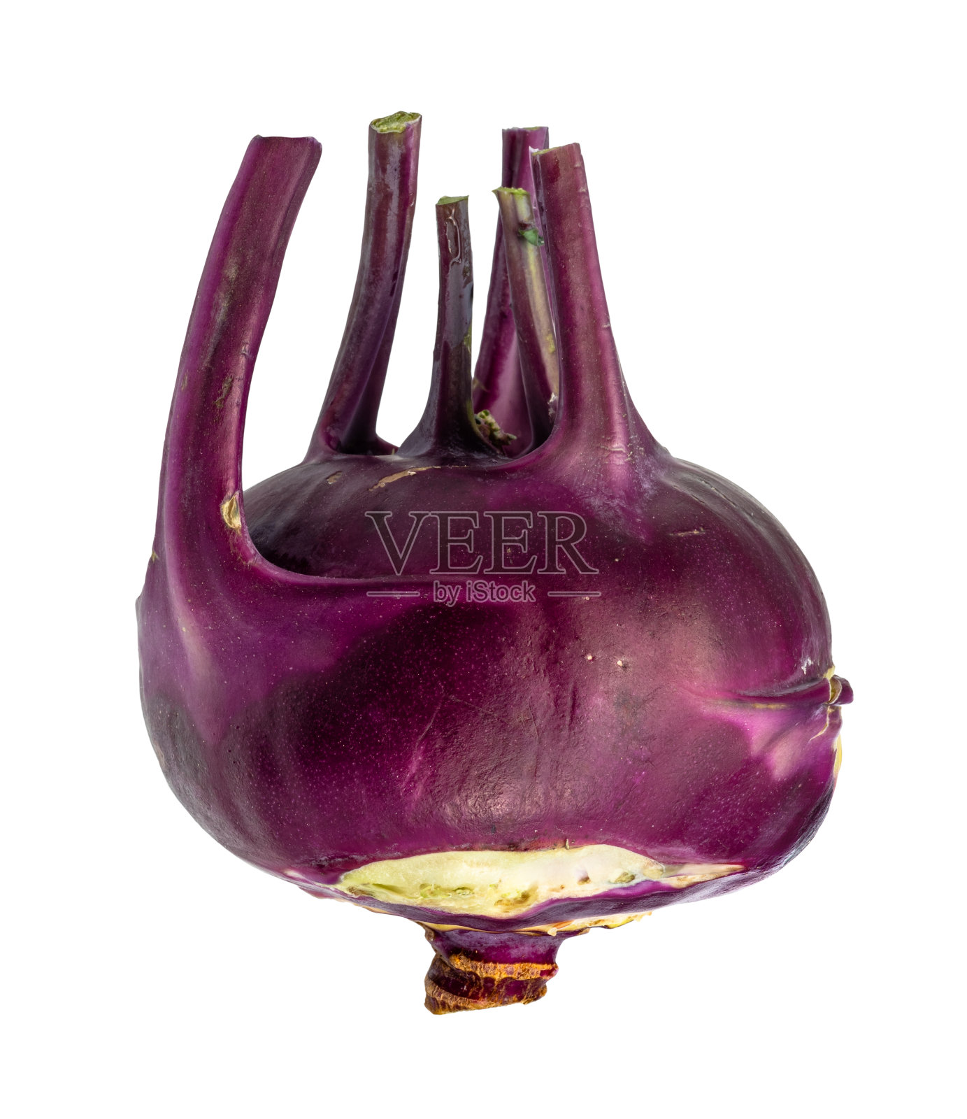 新鲜的大头菜紫色球茎切下来照片摄影图片