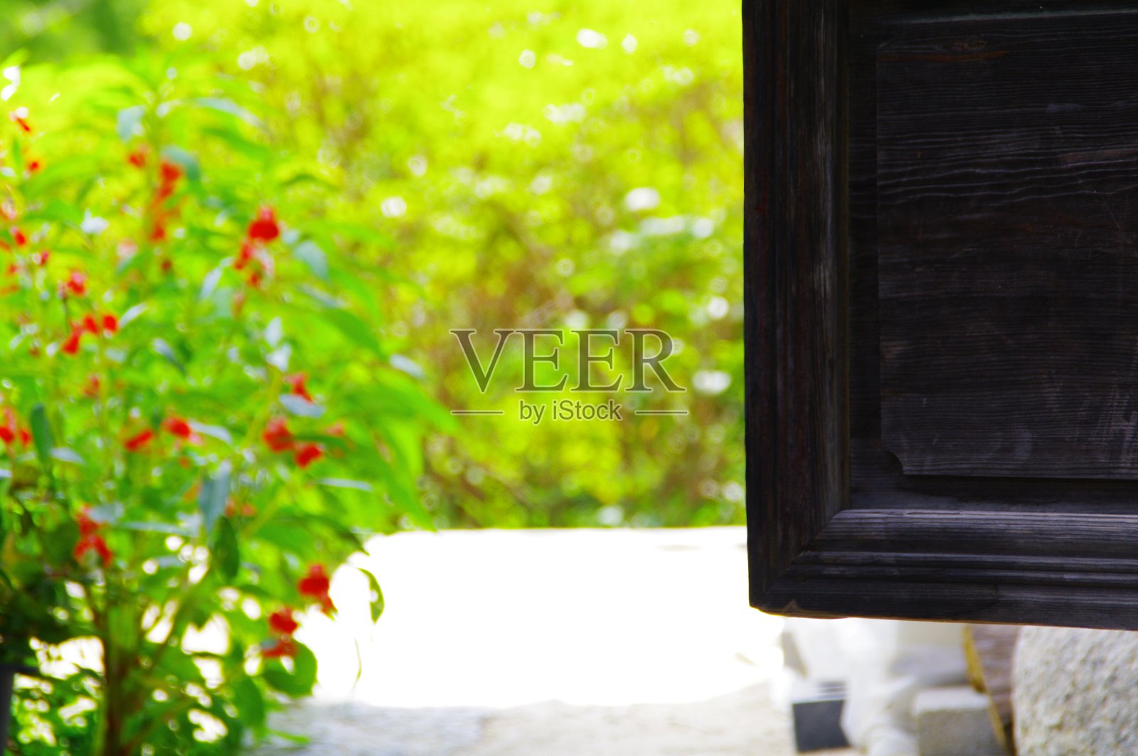 花总是美丽的。照片摄影图片