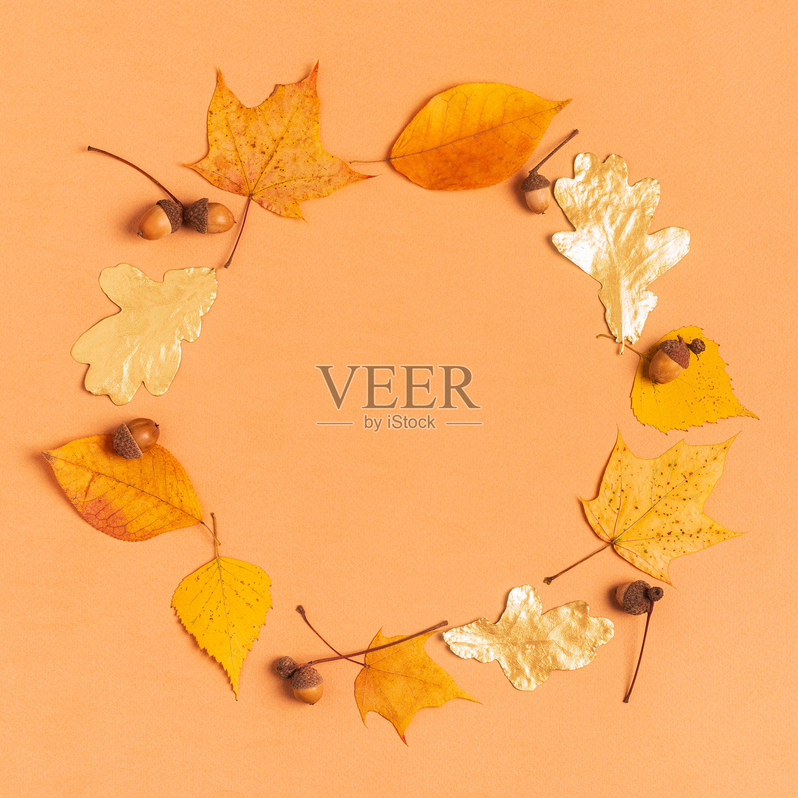 粉彩秋叶背景上，复制空间照片摄影图片