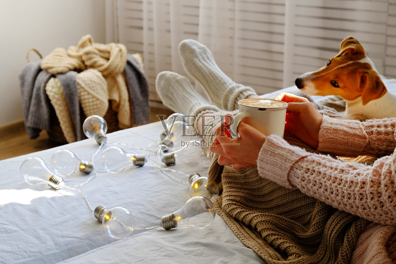 不认识的女性坐在家里和她的宠物狗在沙发上，部分室内视图。照片摄影图片