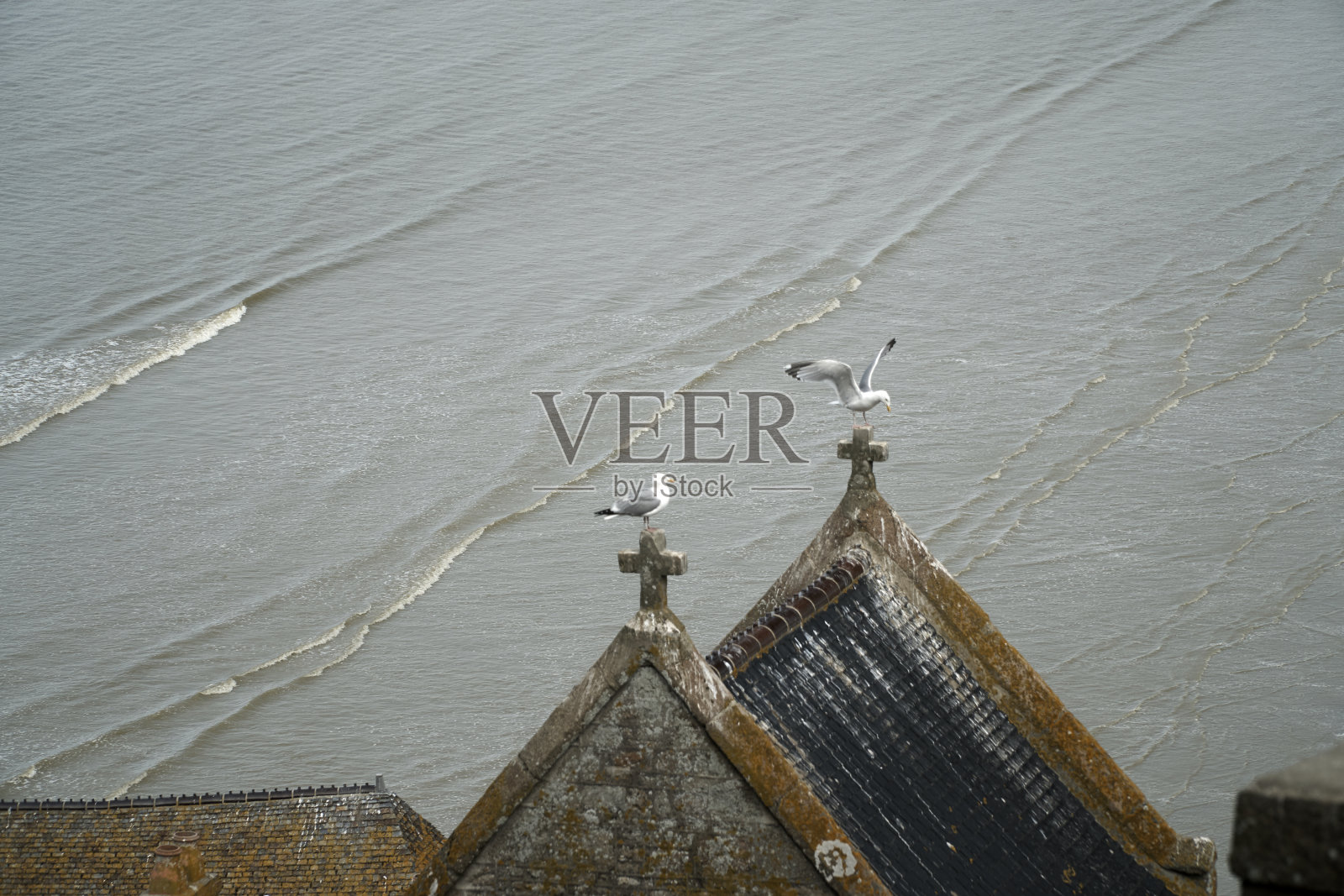 两只海鸥在十字架上筑巢照片摄影图片