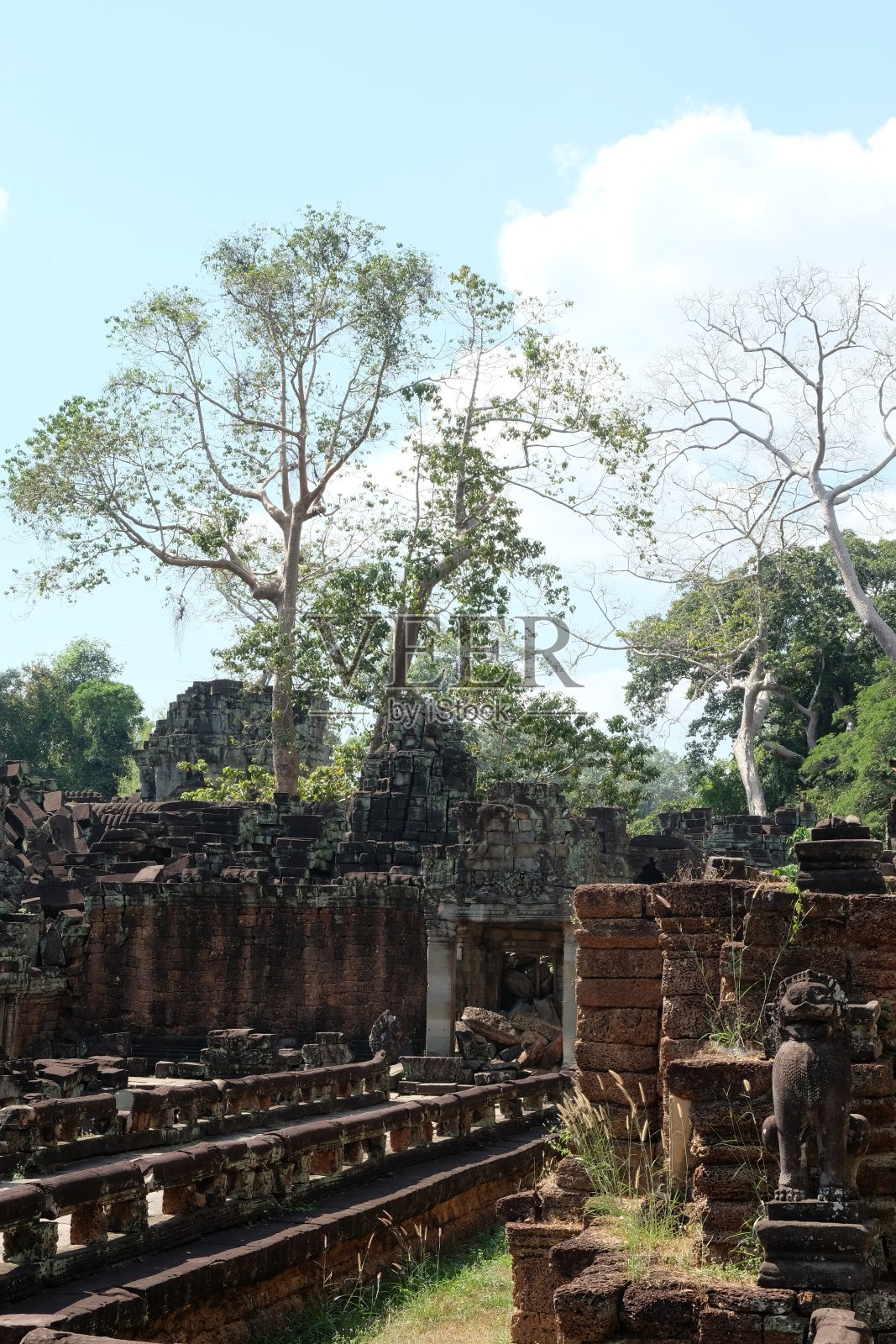 柬埔寨丛林中古老的帕拉汗神庙遗址。照片摄影图片