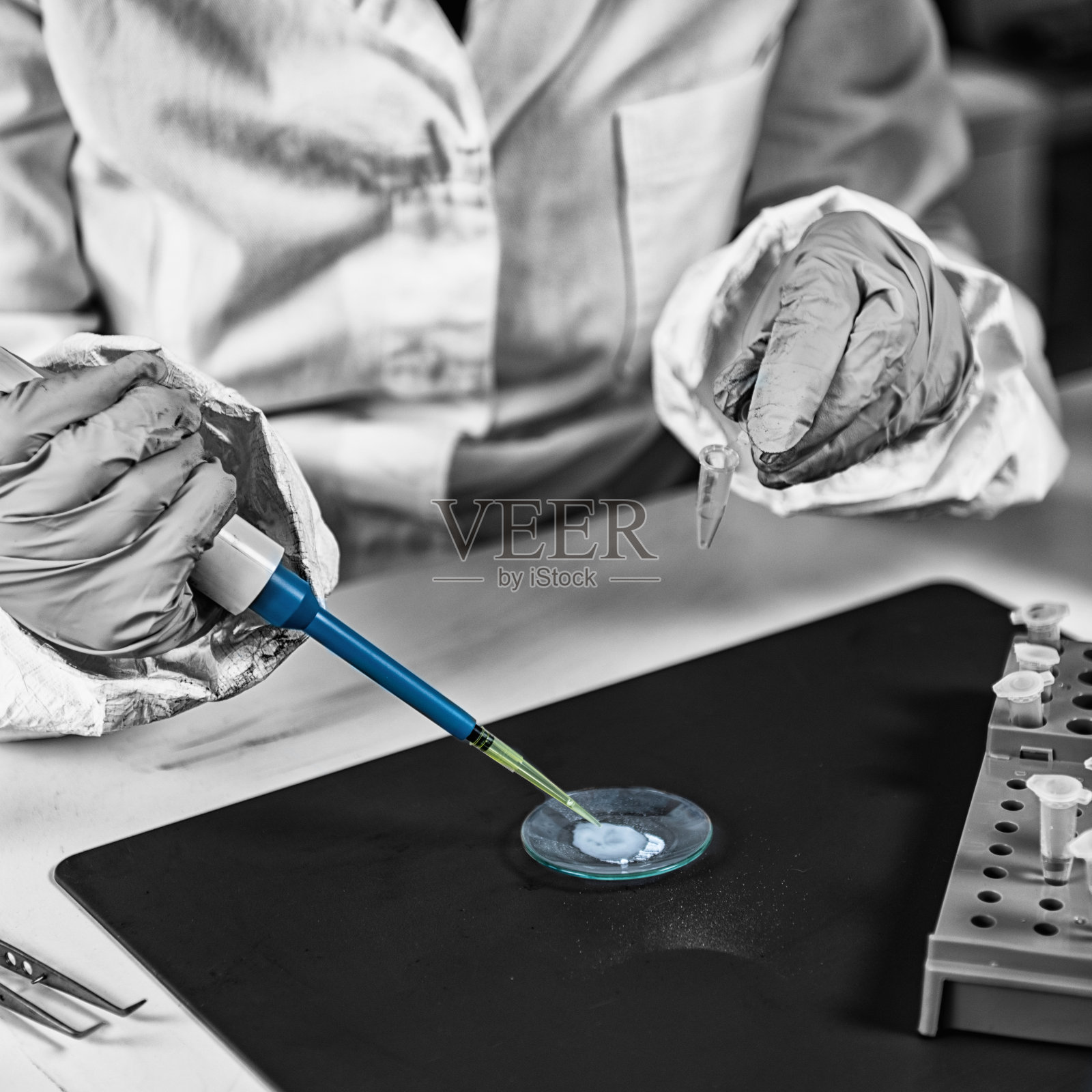 取证。警方专家验证照片摄影图片