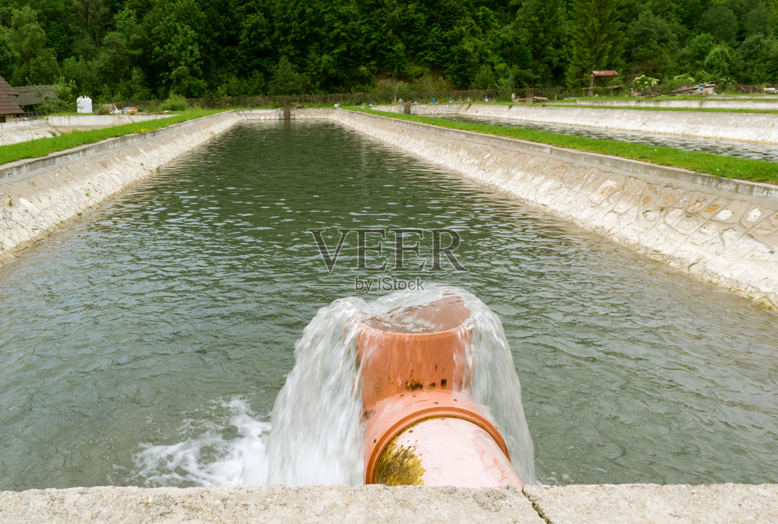 淡水供应给养鱼场水箱养殖照片摄影图片
