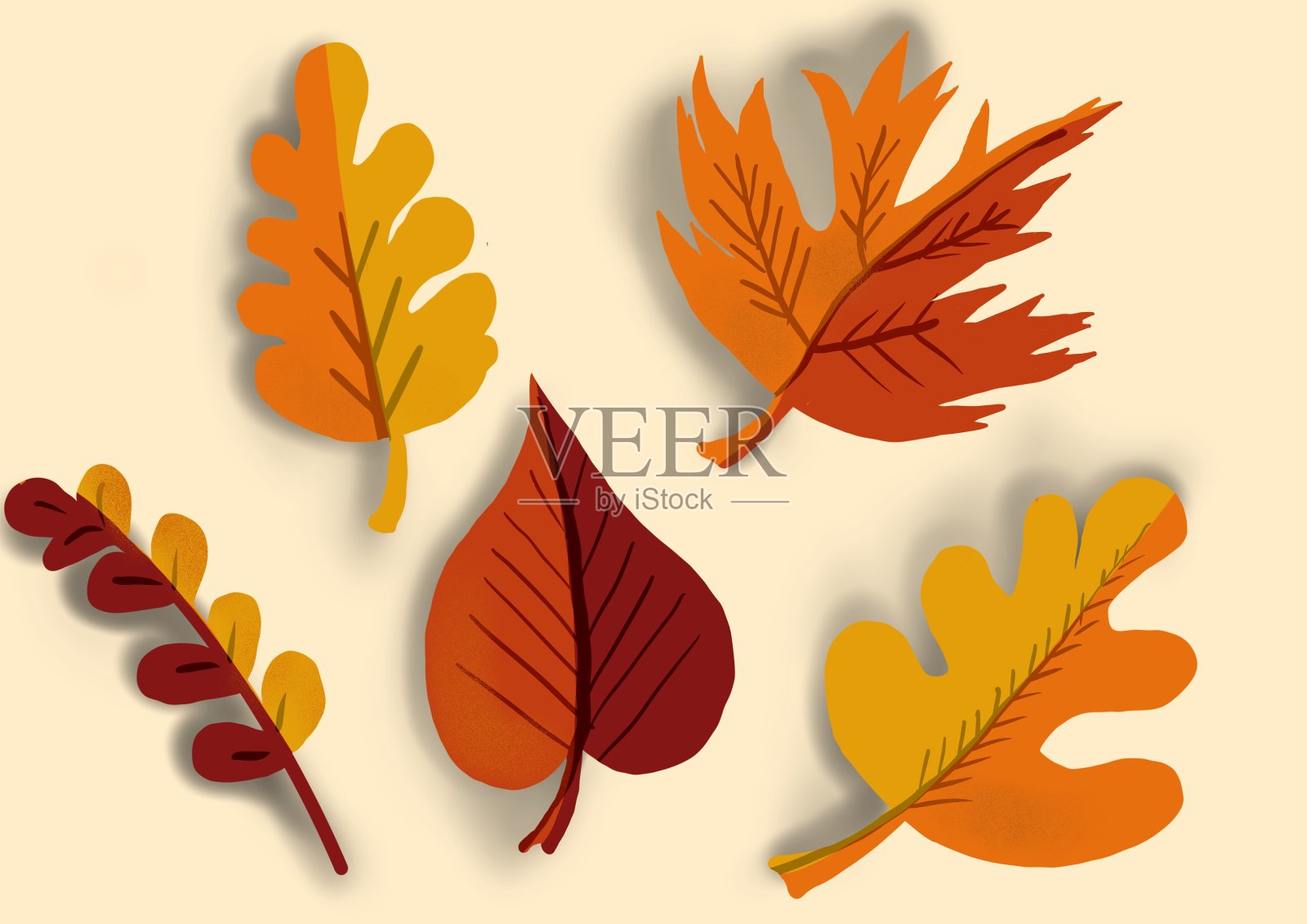 秋天的树叶点缀着五颜六色的橙色和黄色。大组插画图片素材