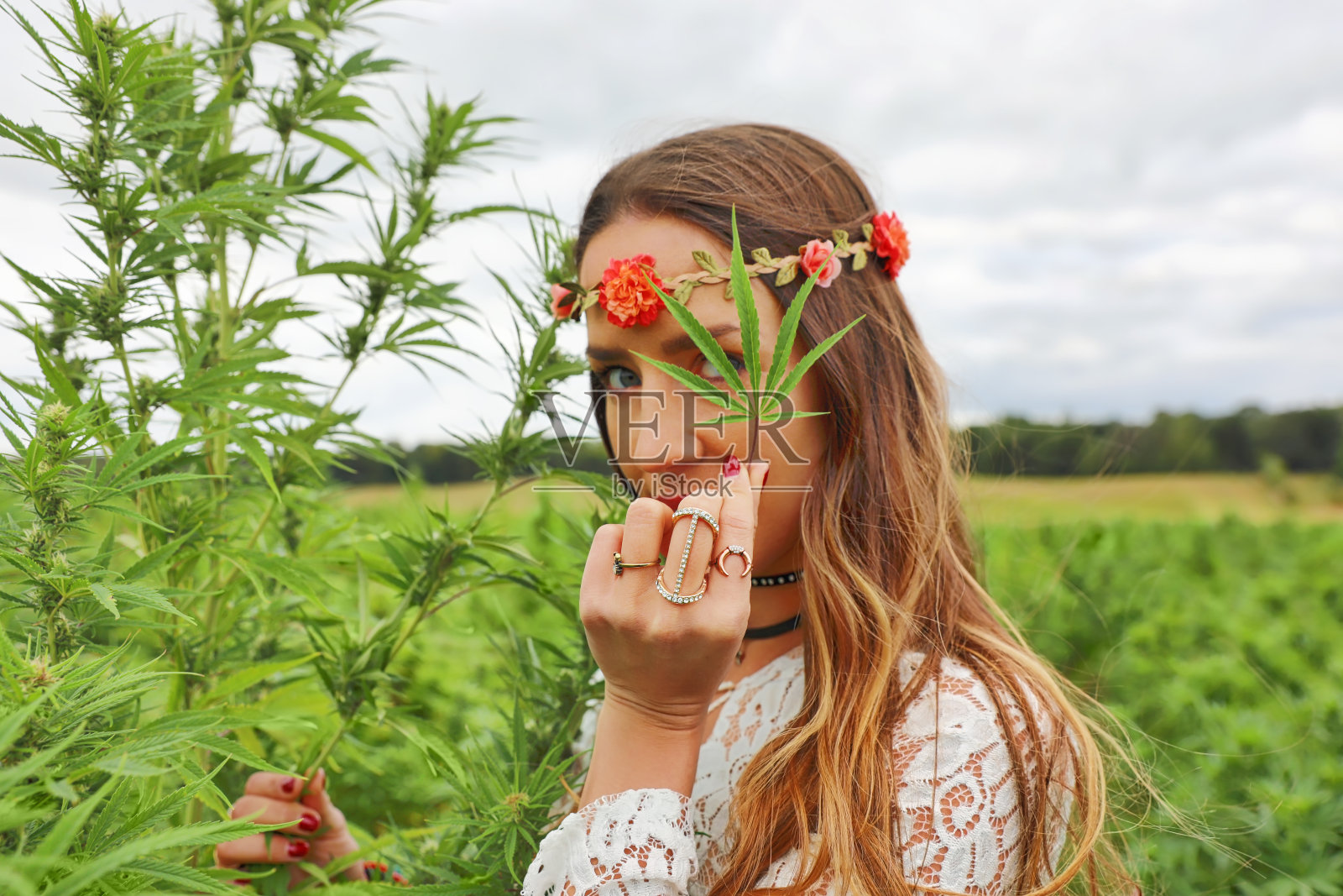 年轻的波西米亚女子在田里检查大麻照片摄影图片