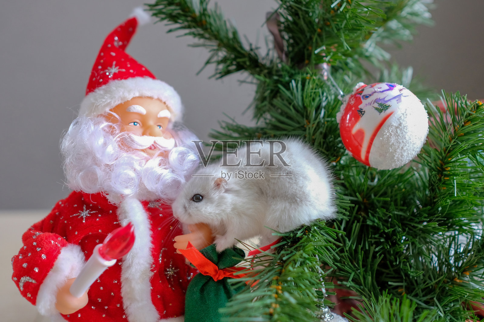 圣诞作文与中国新年的象征。照片摄影图片