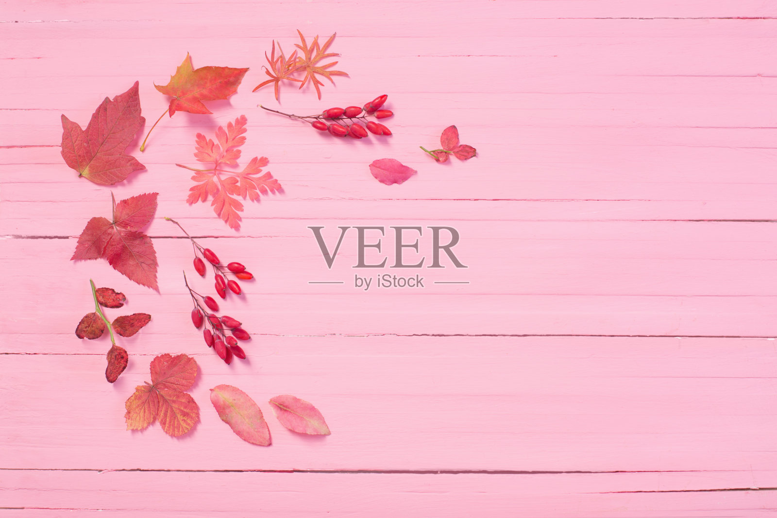 粉红色木质背景上的秋叶照片摄影图片