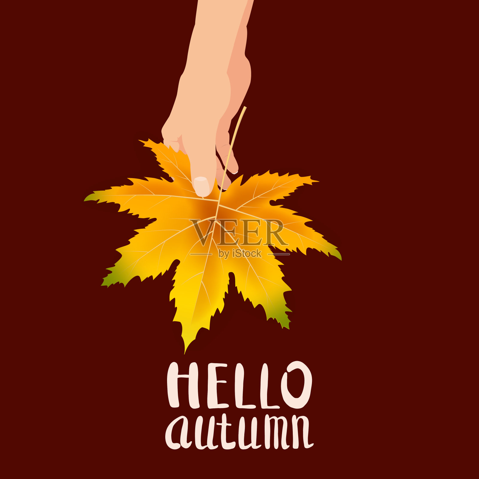 手握秋叶鲜艳的秋花束，花香四溢。你好,秋天刻字。矢量插图孤立插画图片素材