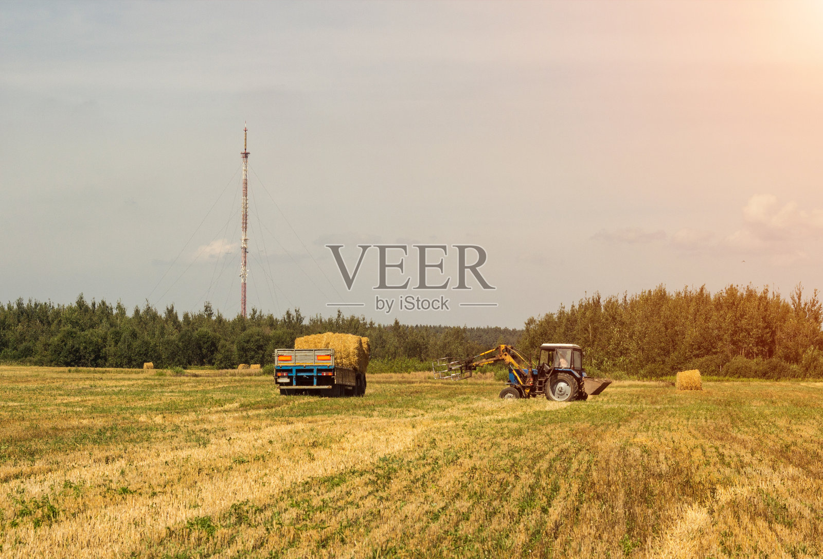 农民在拖拉机上挑干草堆，把一捆捆的干草装进拖车，这就是农业照片摄影图片