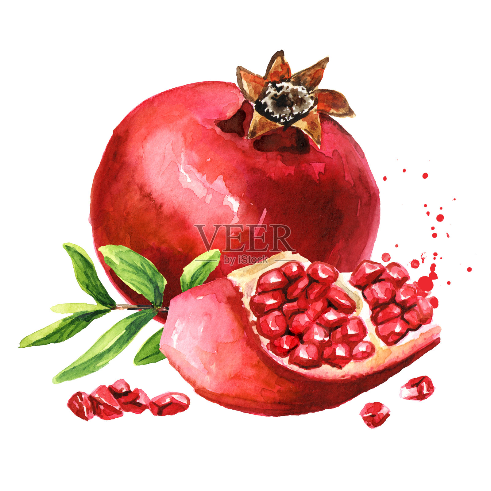 石榴是绿色的果实。水彩手绘插图孤立的白色背景插画图片素材