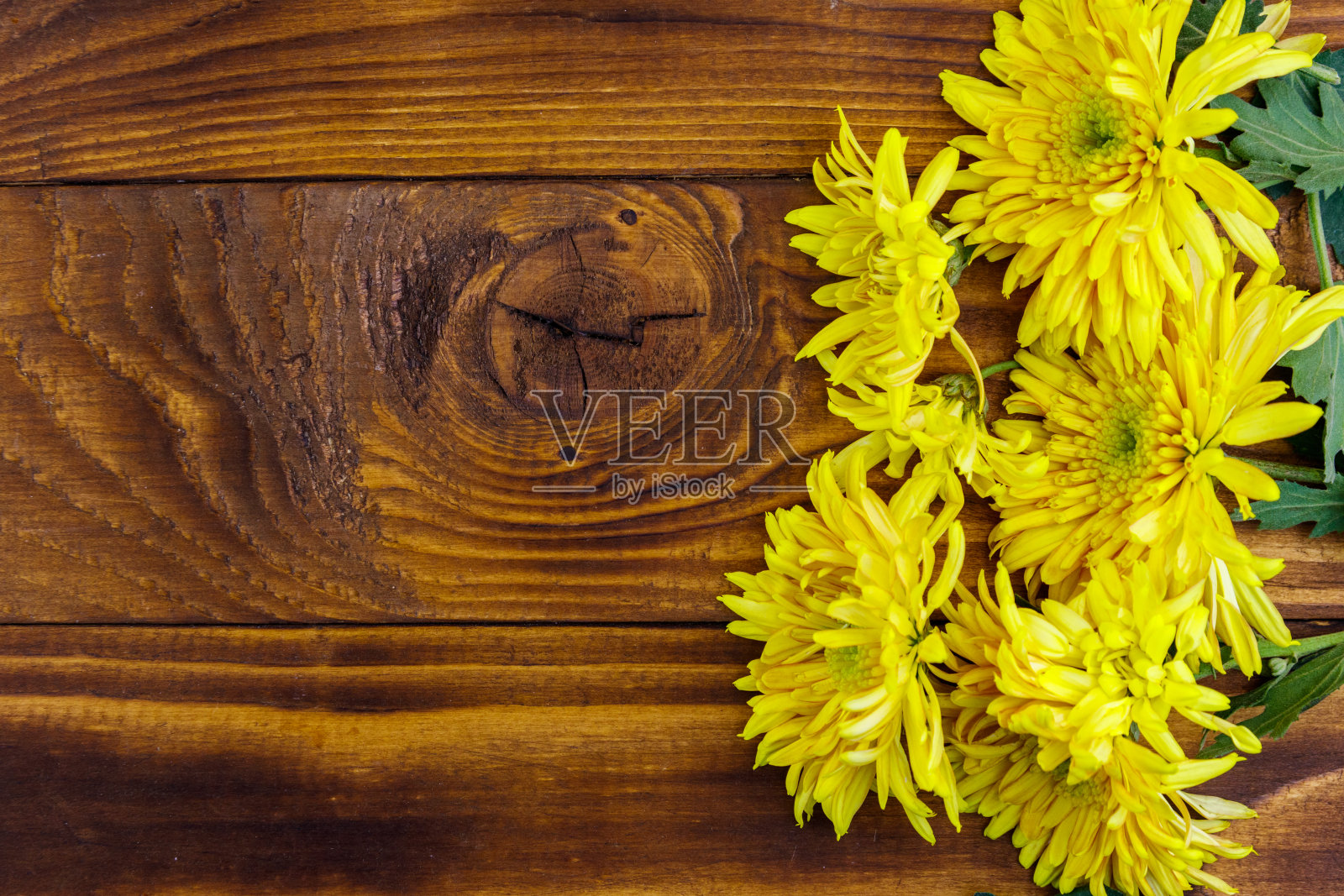 木制背景上的黄色菊花。俯视图，复制空间照片摄影图片