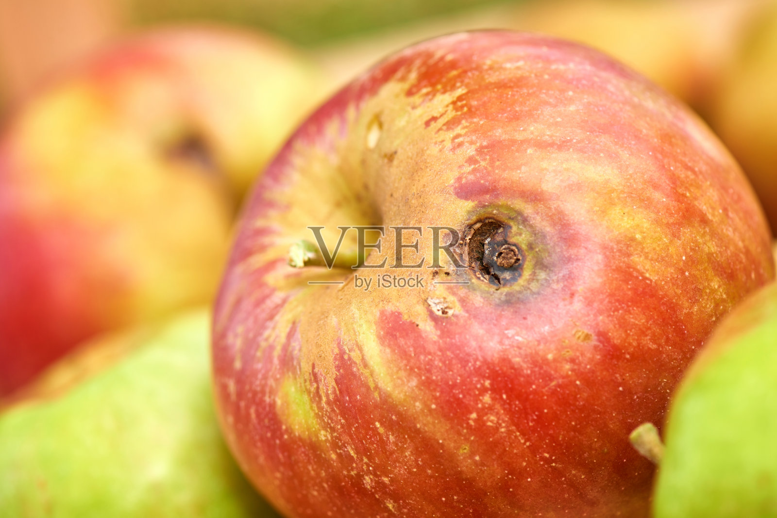 有机红苹果，有些是烂的，有些是完美的照片摄影图片