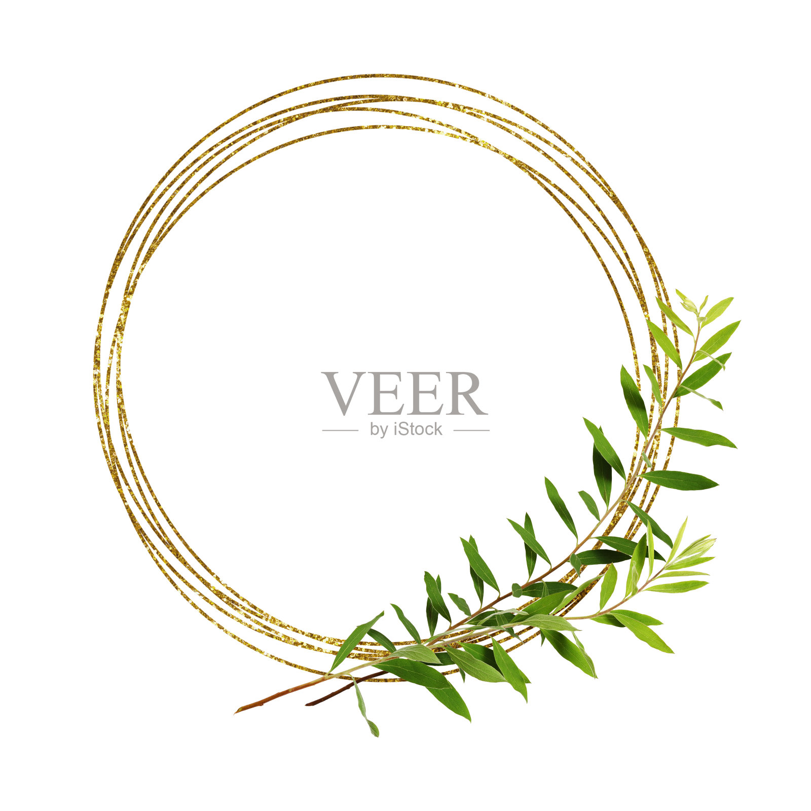 圆形的亮框和绿色的叶子照片摄影图片