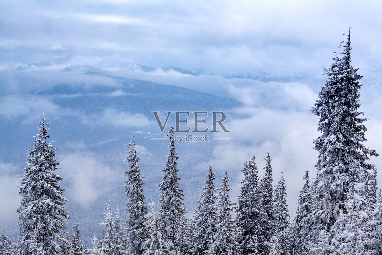 冬季森林云景观鸟瞰图树木背景旅行宁静的风景照片摄影图片