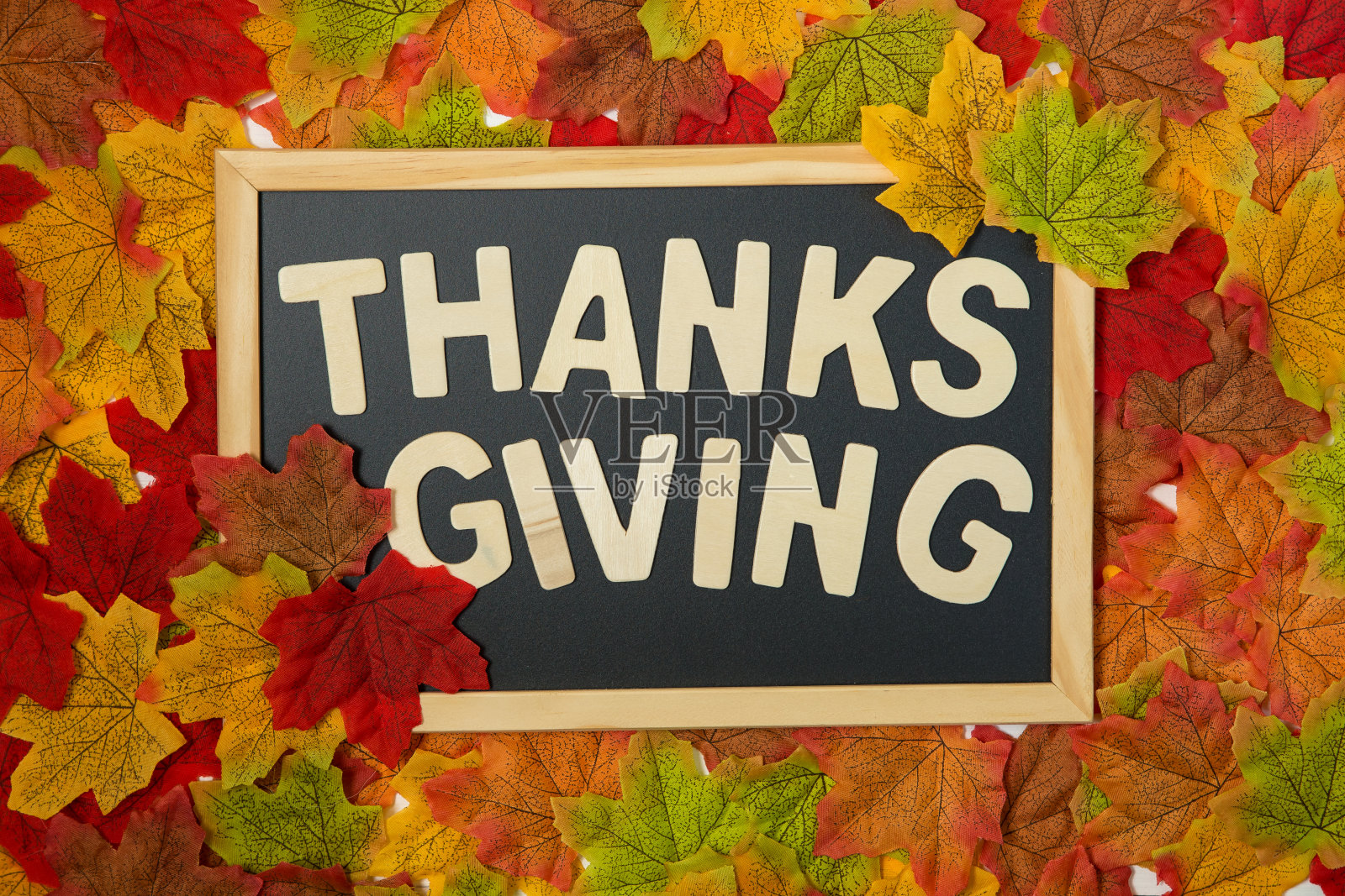 秋天的成分。由干树叶在白色背景上做成的框架。秋天，秋天，感恩节的概念。平铺，俯视图，拷贝空间。照片摄影图片