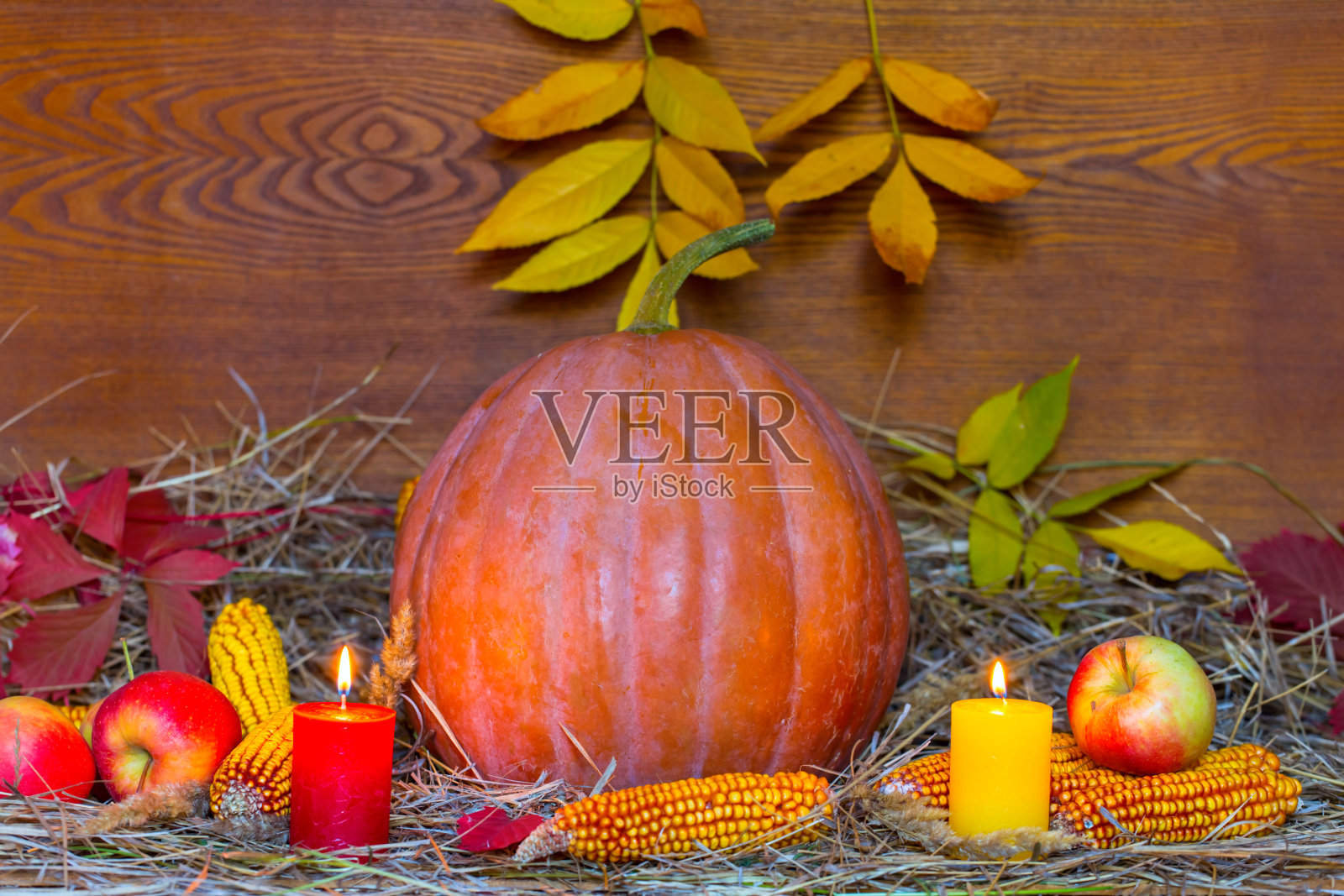 秋收，有熟南瓜、苹果、玉米、干草、蜡烛和秋叶的静物照片摄影图片