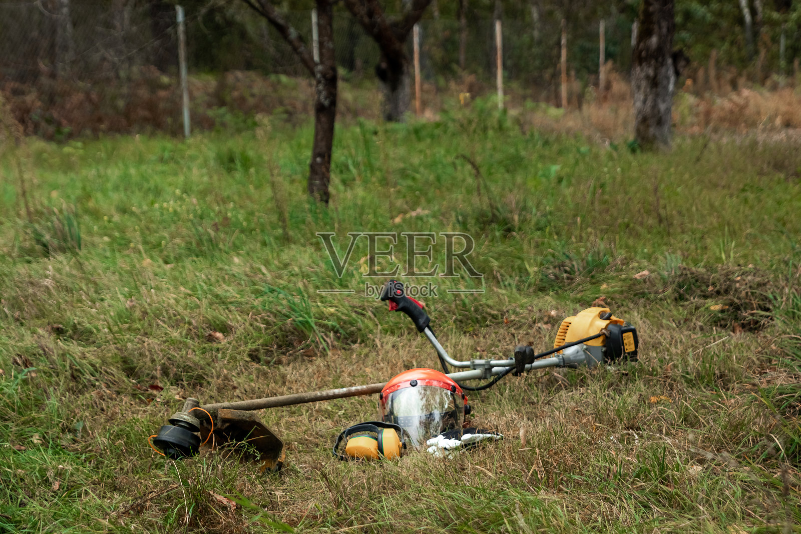 工具和设备割草，草坪躺在地上，草修剪器。修剪草坪，修剪路边，修剪草坪。照片摄影图片