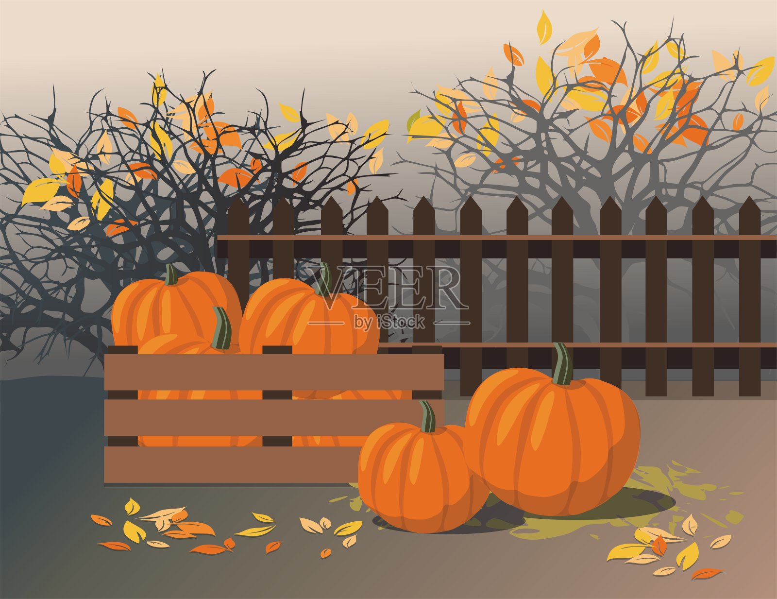 感恩节-成熟的南瓜在收获盒插画图片素材