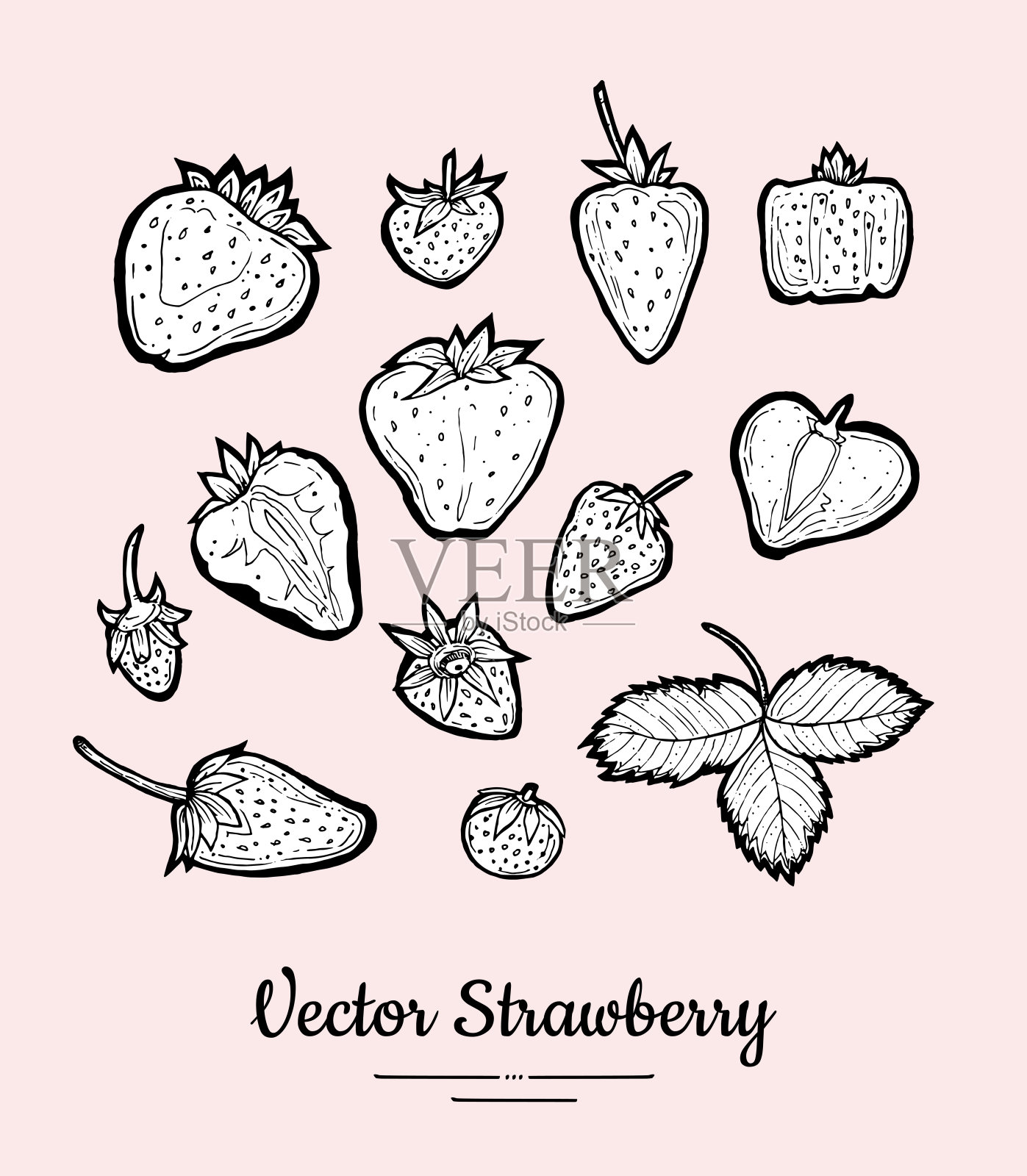 草莓向量孤立。水果收集手绘集。时尚的素食菜单，水果图标设置在墨水风格插画图片素材