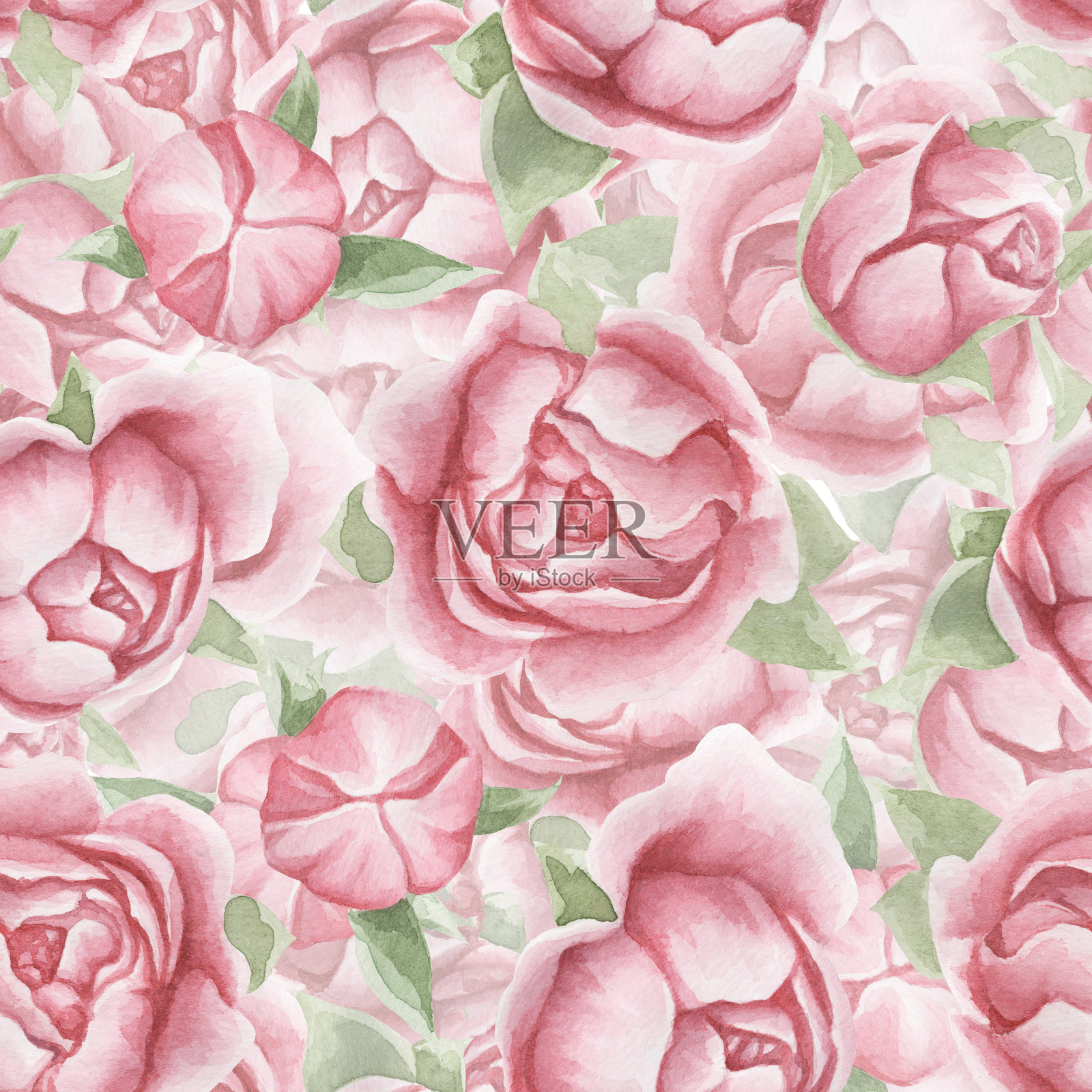 植物花卉无缝图案与精致的花和叶，手绘背景。插画图片素材