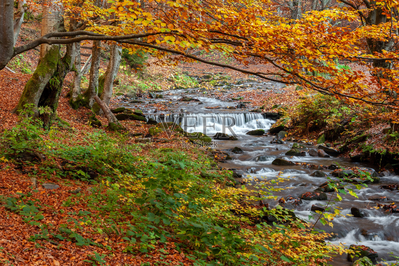山间瀑布在秋天的森林里照片摄影图片