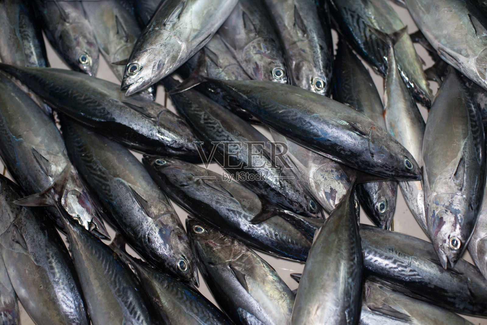 马尔代夫首都马累市的鱼市照片摄影图片