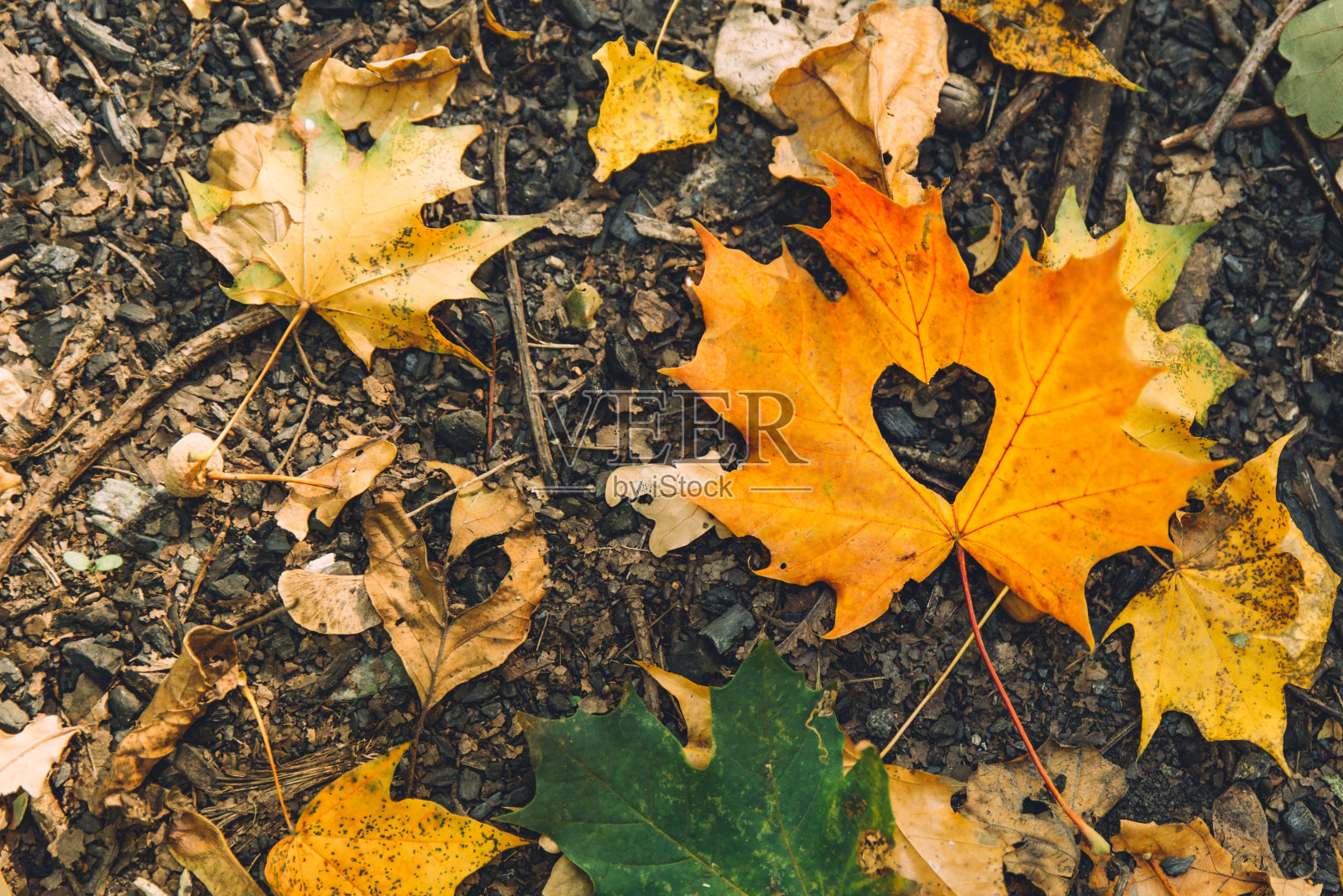 黄色的枫叶在地上，心在中间照片摄影图片