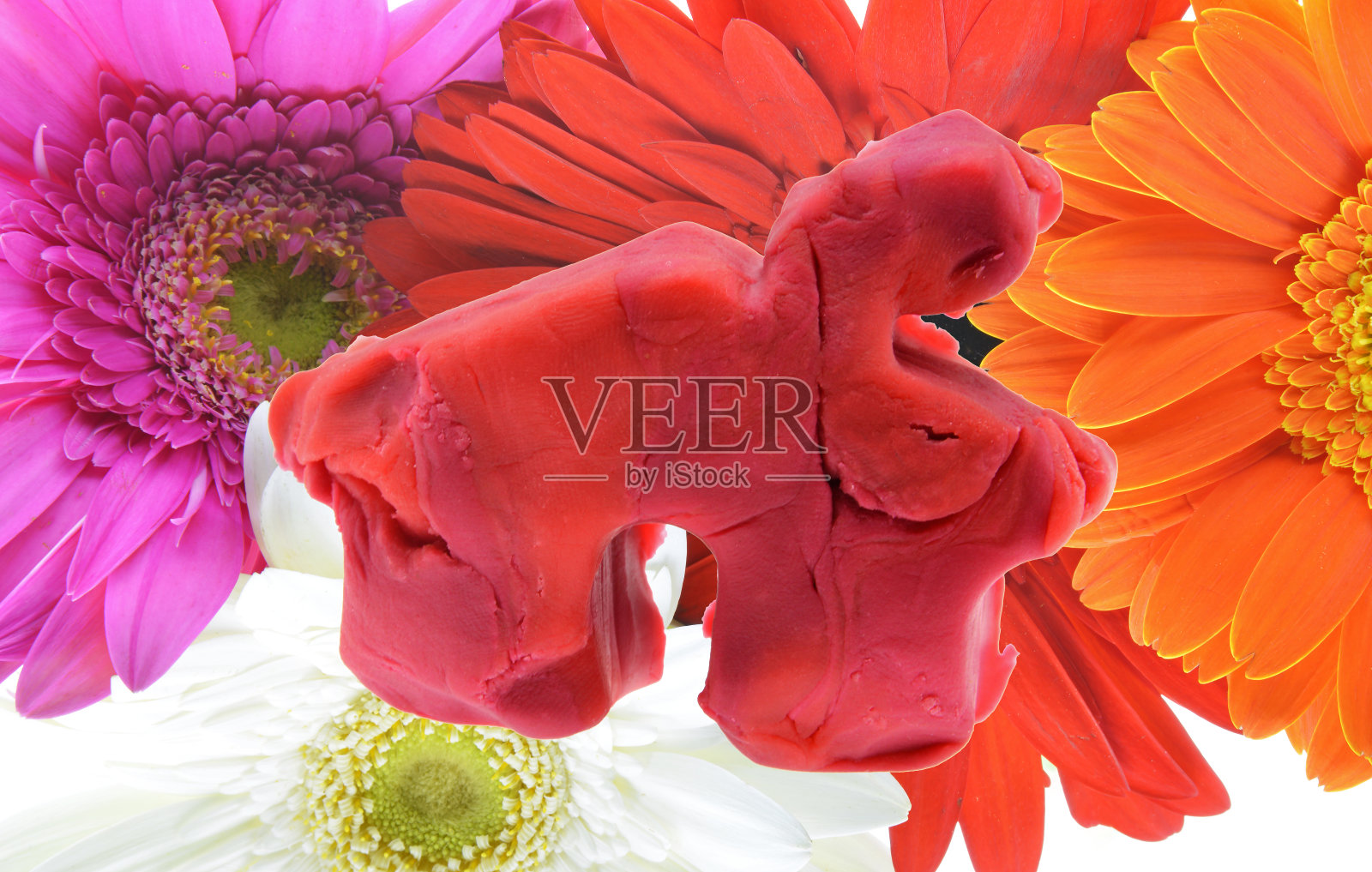 花面馆照片摄影图片