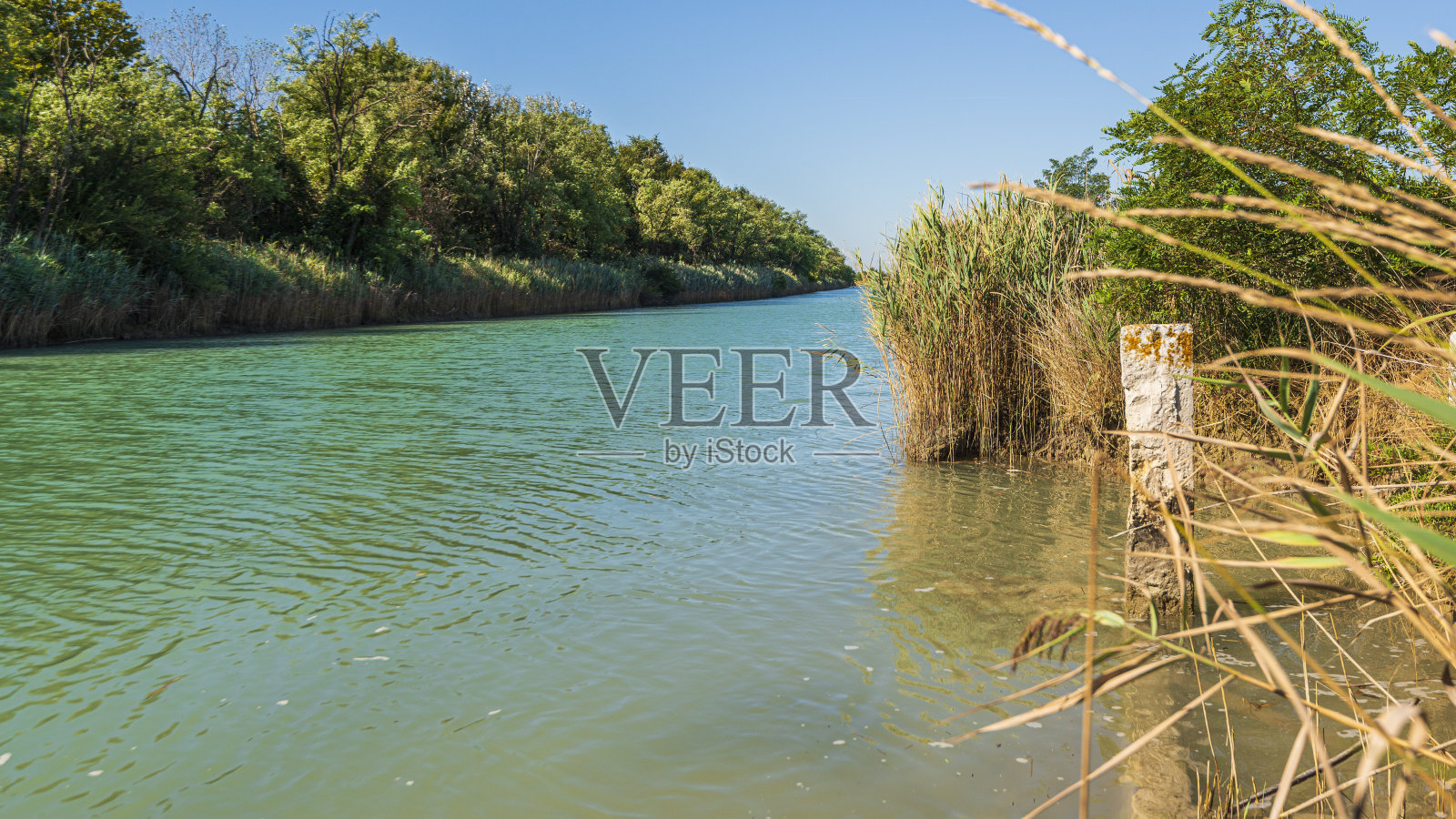 威尼斯的夏日乡村风光照片摄影图片
