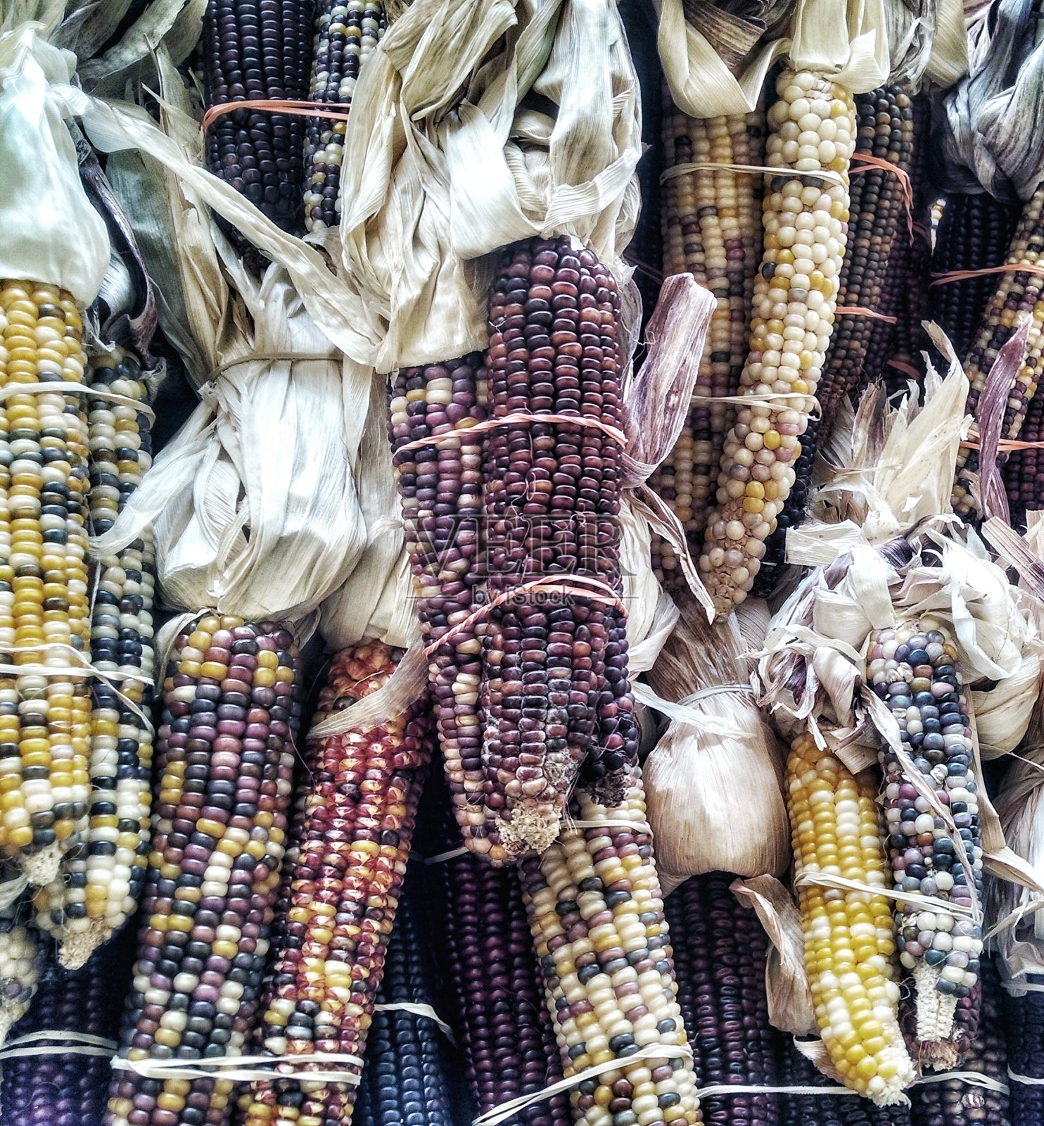 色彩斑斓的玉米照片摄影图片