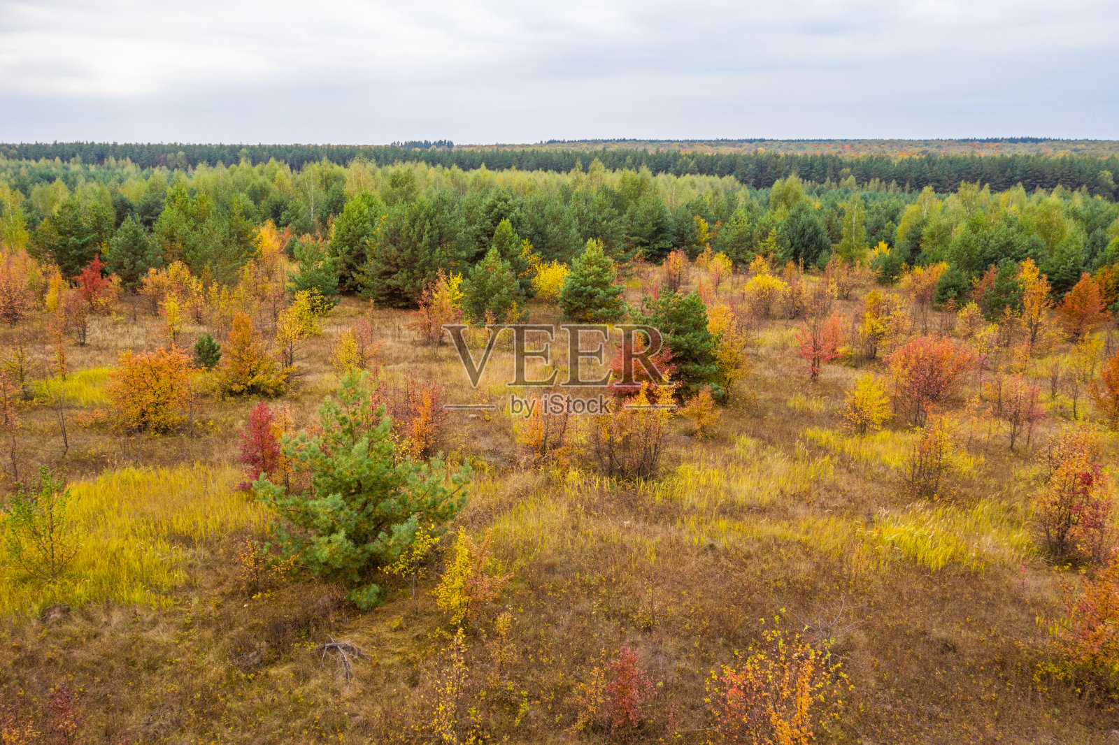用四轴飞行器航拍秋天五彩斑斓的森林，从鸟瞰图上可以看到色彩鲜艳的树冠照片摄影图片